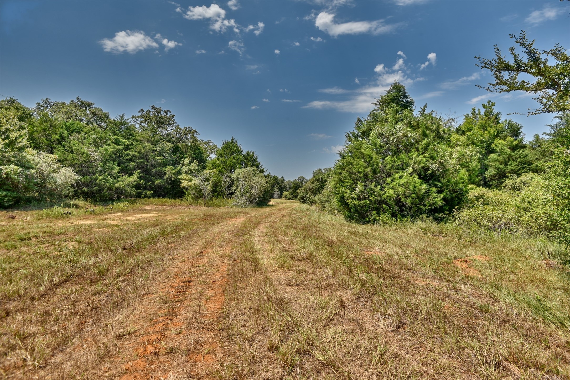 4901 Hudson Hills Drive Property Photo