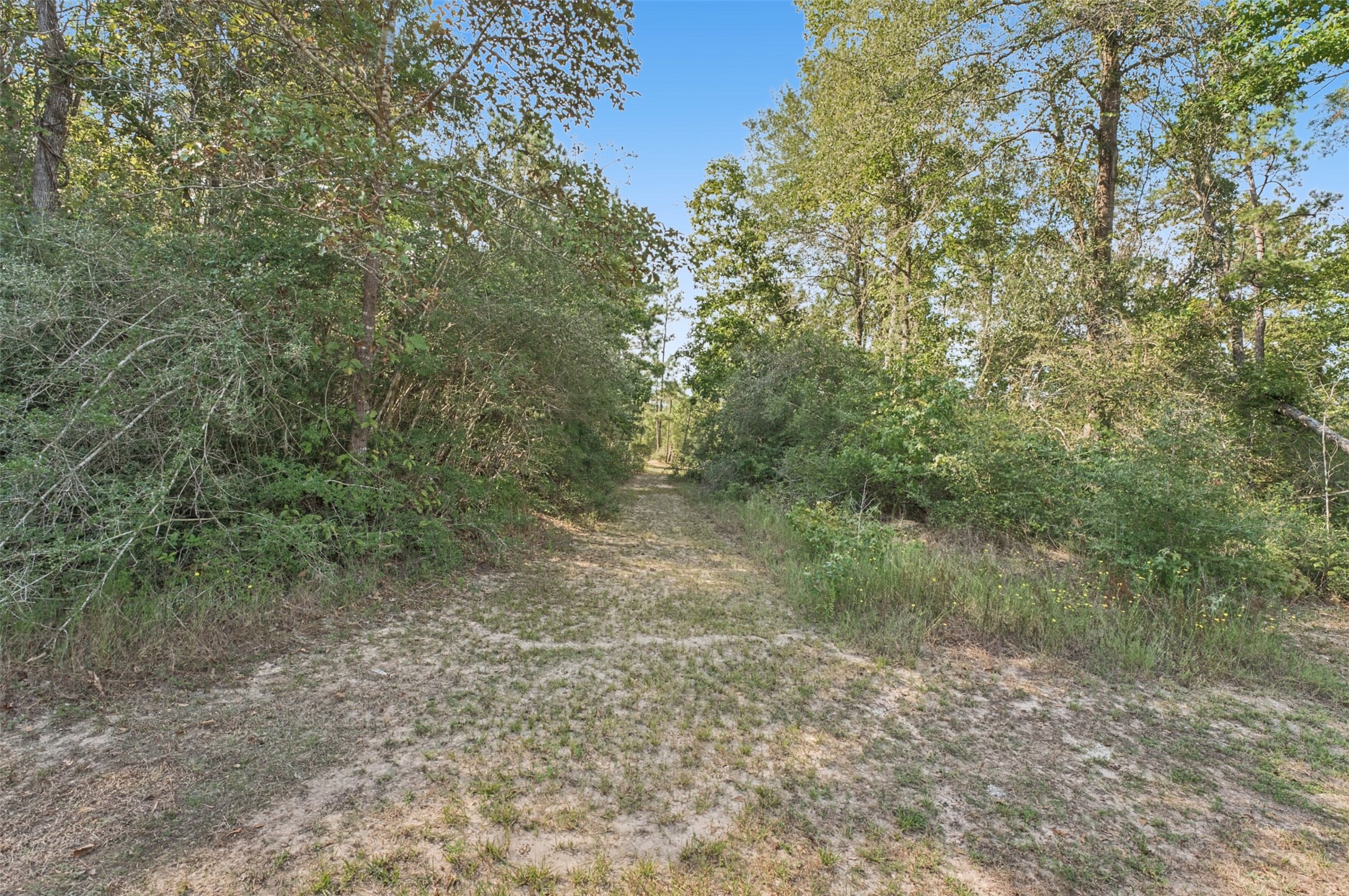21113 Hereford Way Property Photo 40