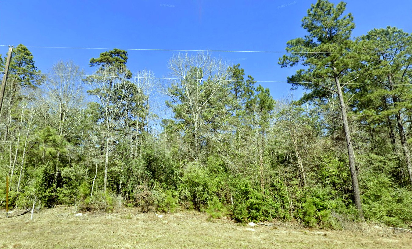 9-21-24 Windmill Road Property Photo 2
