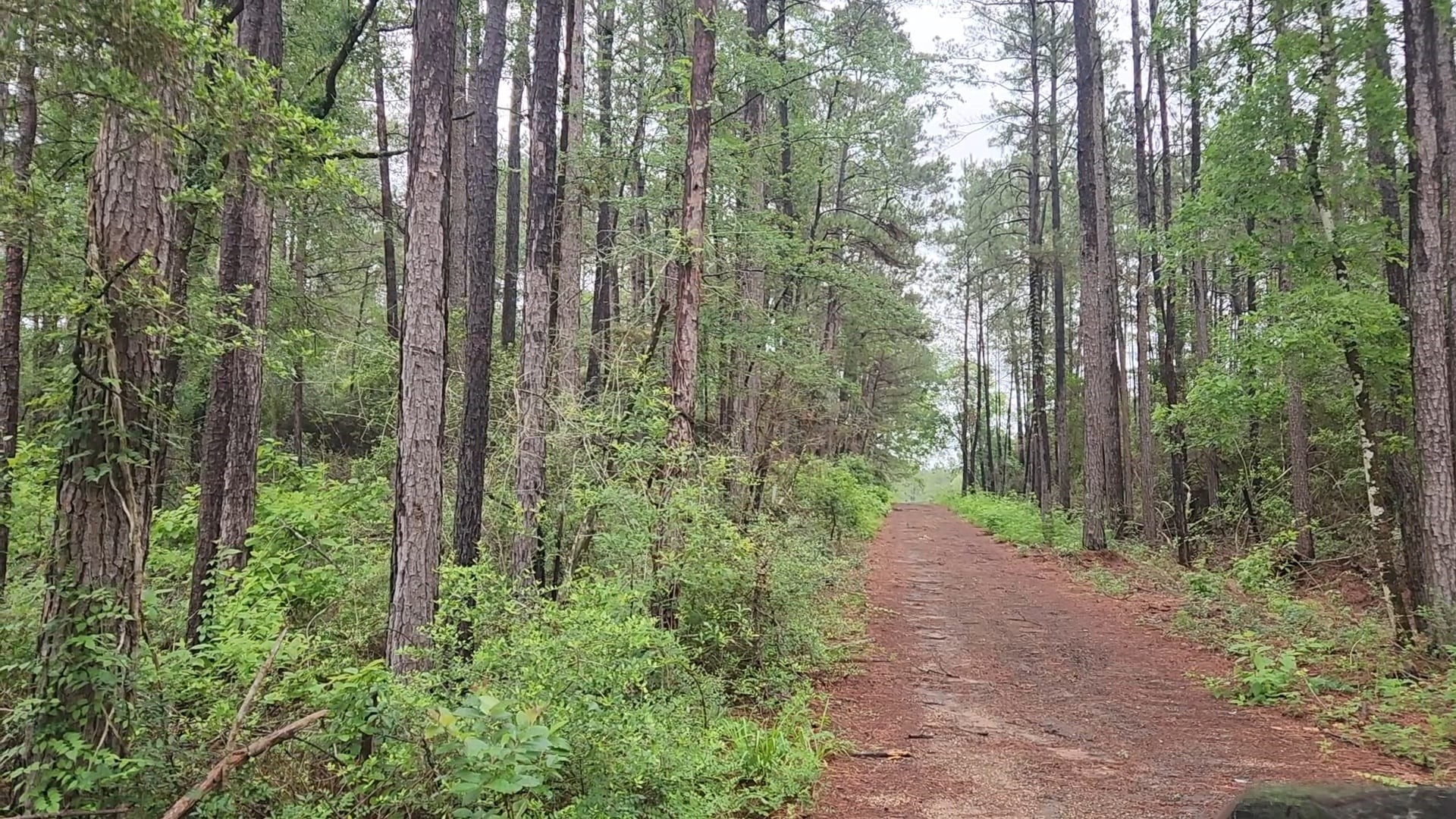 Lot 33 Gum Tree Lane Property Photo 1