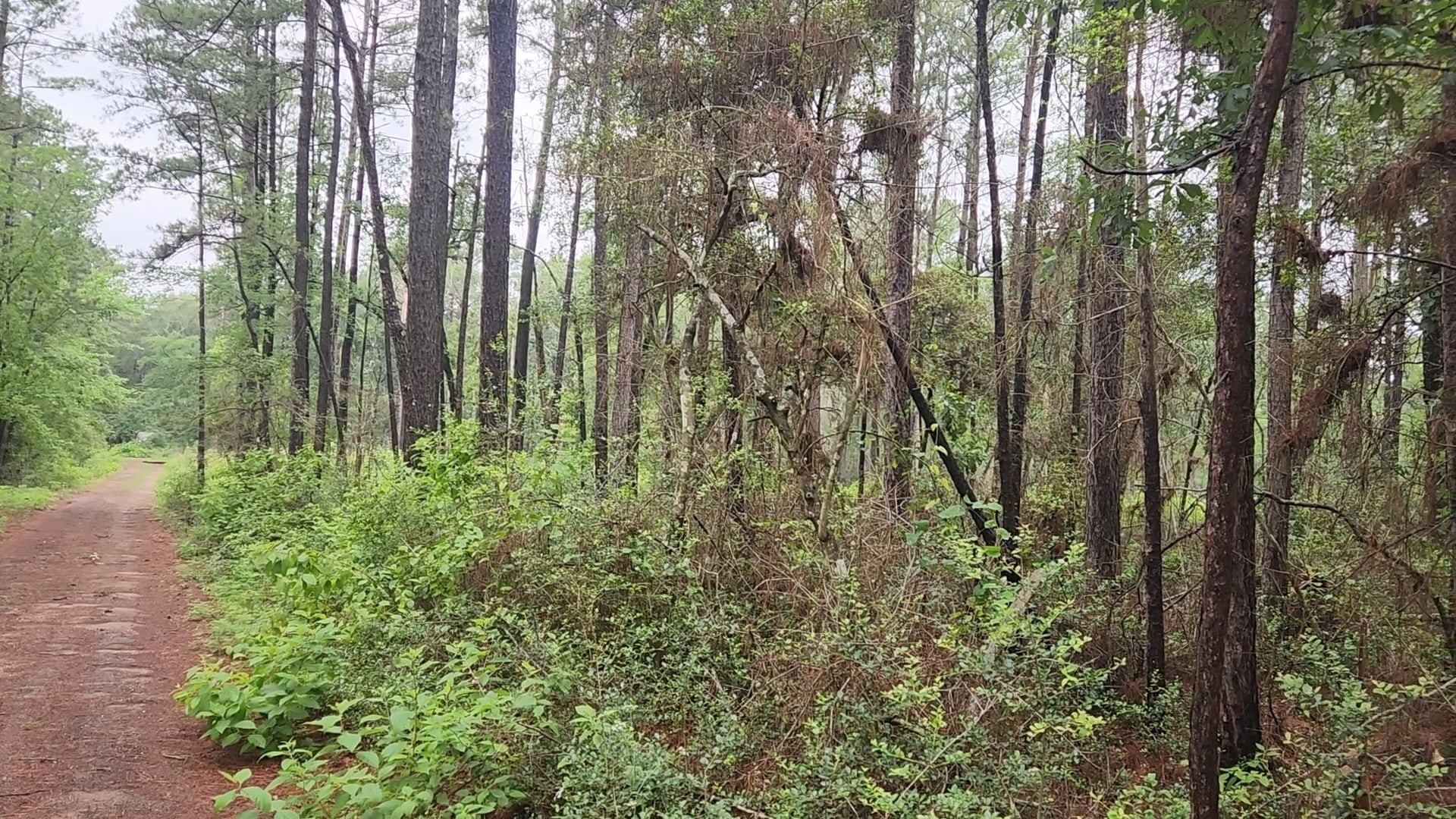 Lot 33 Gum Tree Lane Property Photo 2