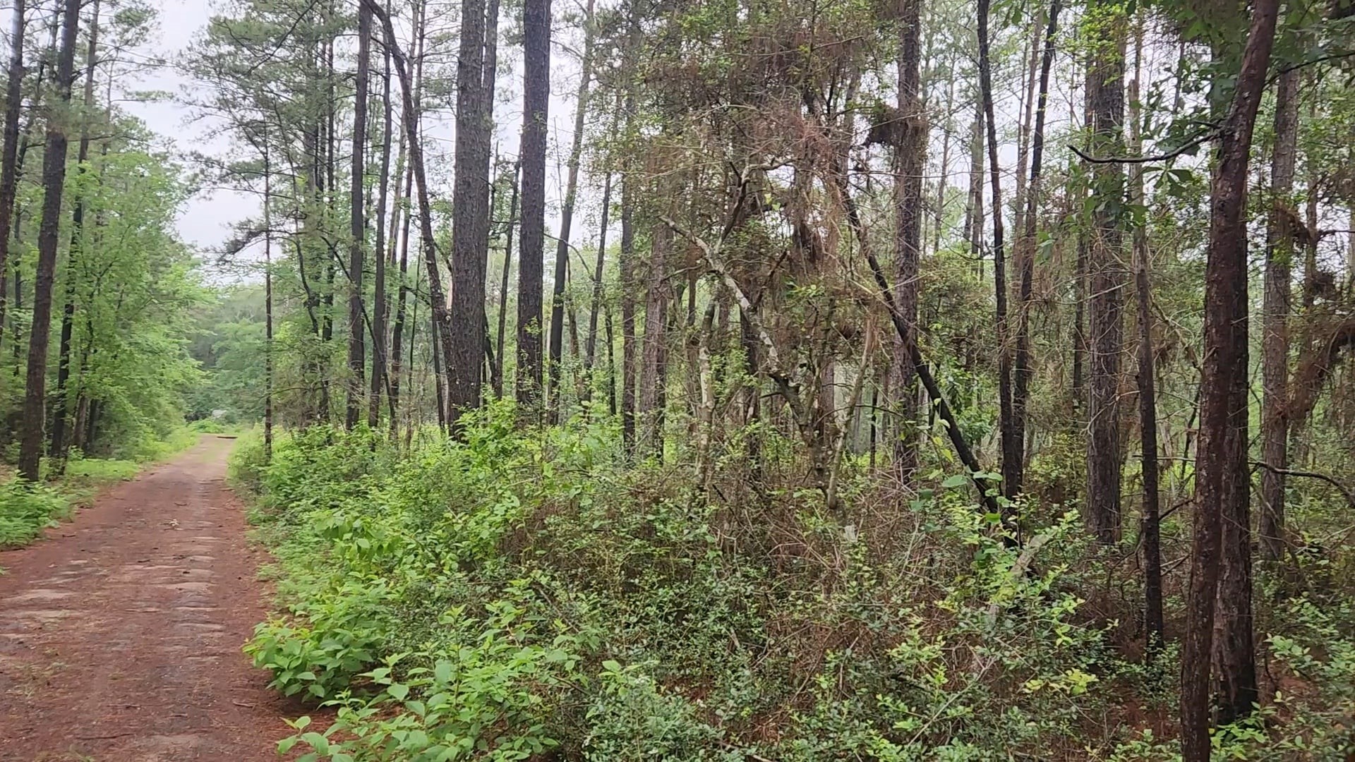 Lot 33 Gum Tree Lane Property Photo 4