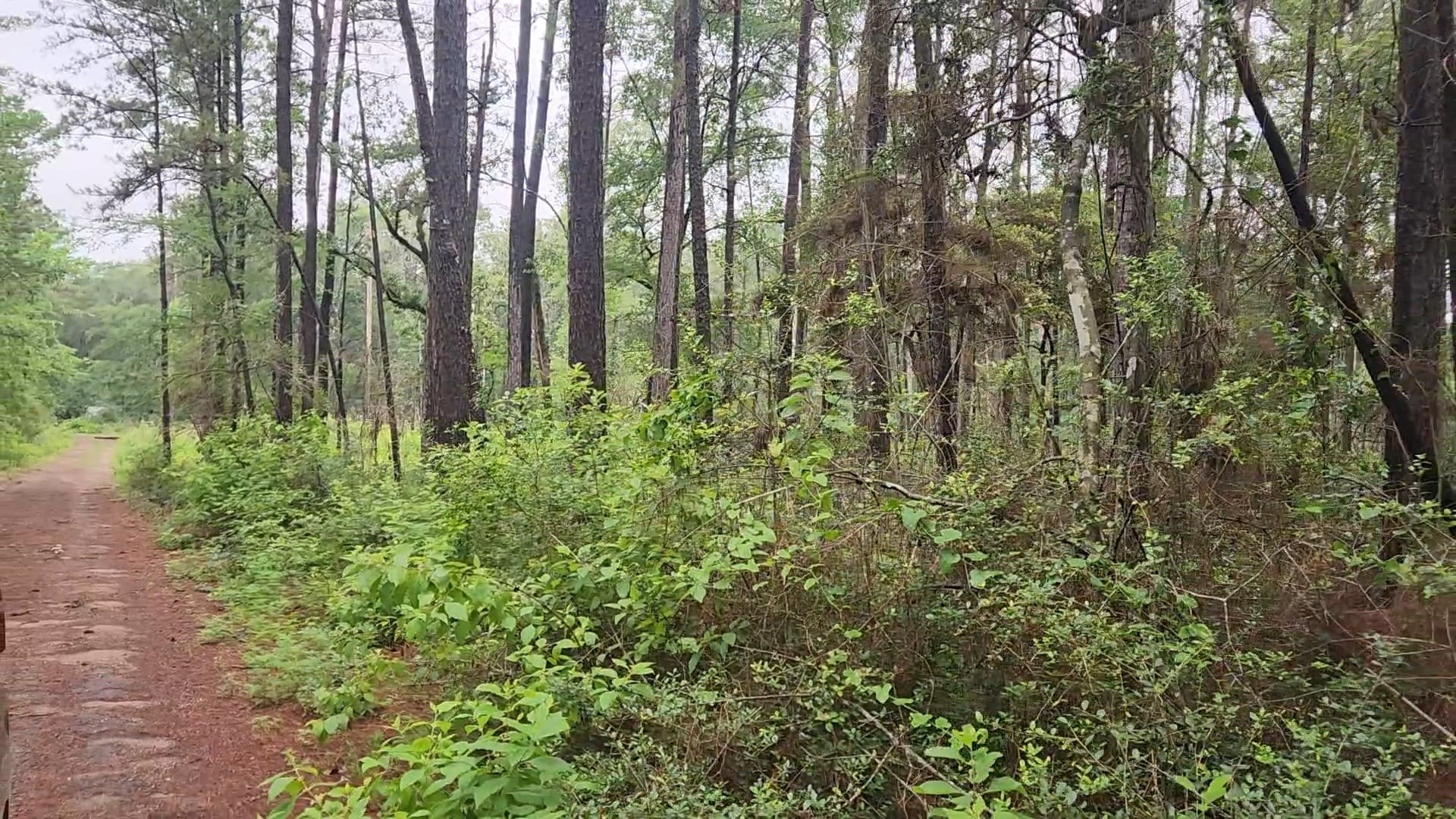 Lot 33 Gum Tree Lane Property Photo 5