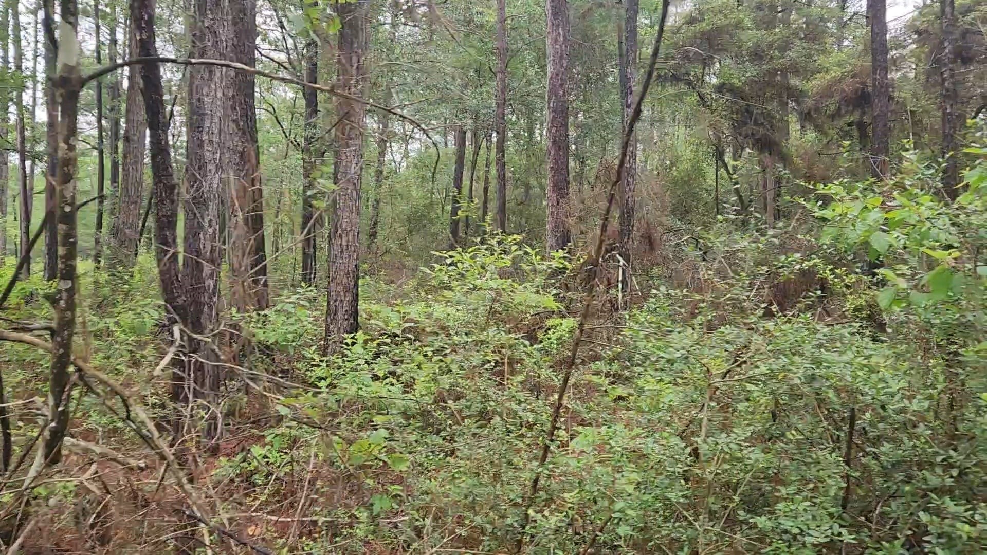 Lot 33 Gum Tree Lane Property Photo 16