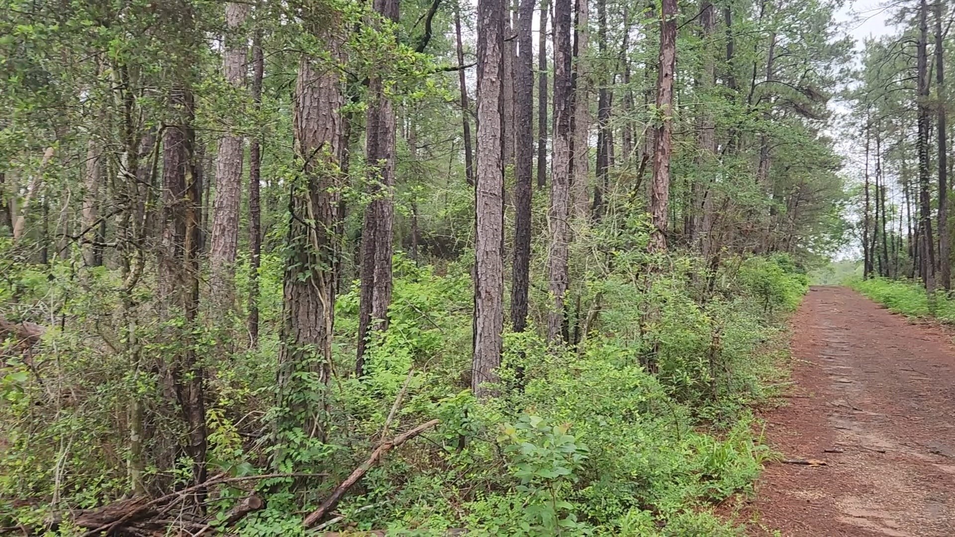 Lot 33 Gum Tree Lane Property Photo 21
