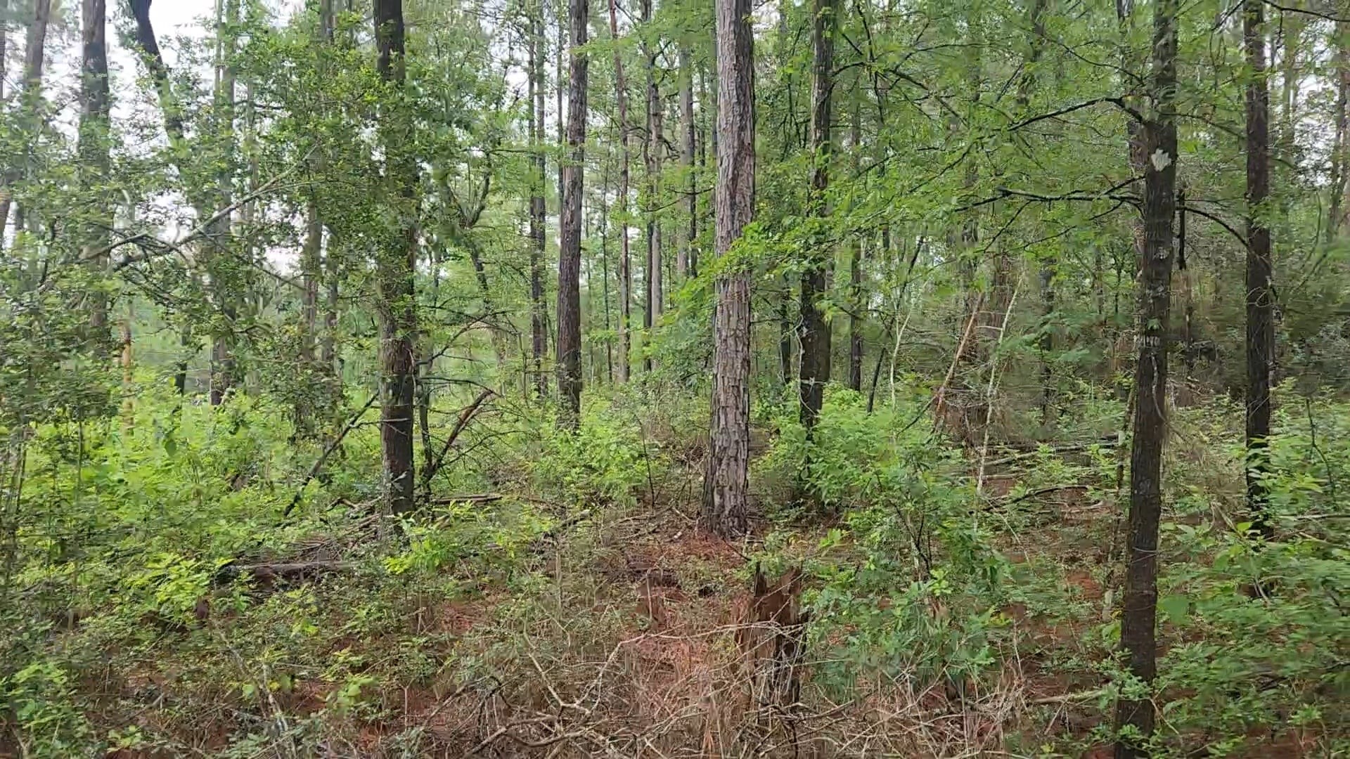 Lot 33 Gum Tree Lane Property Photo 23