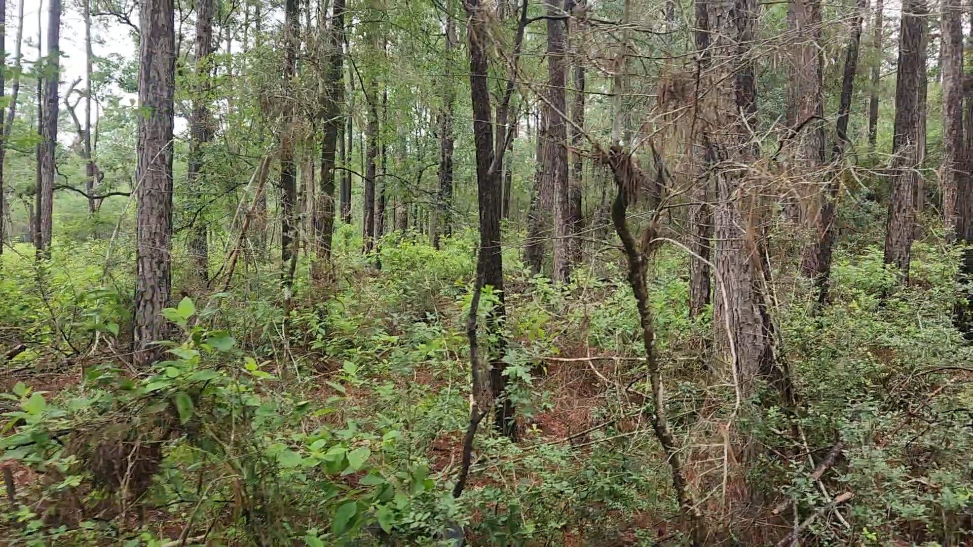 Lot 33 Gum Tree Lane Property Photo 25