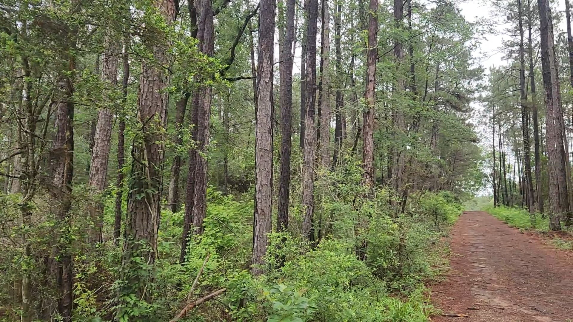 Lot 33 Gum Tree Lane Property Photo 26