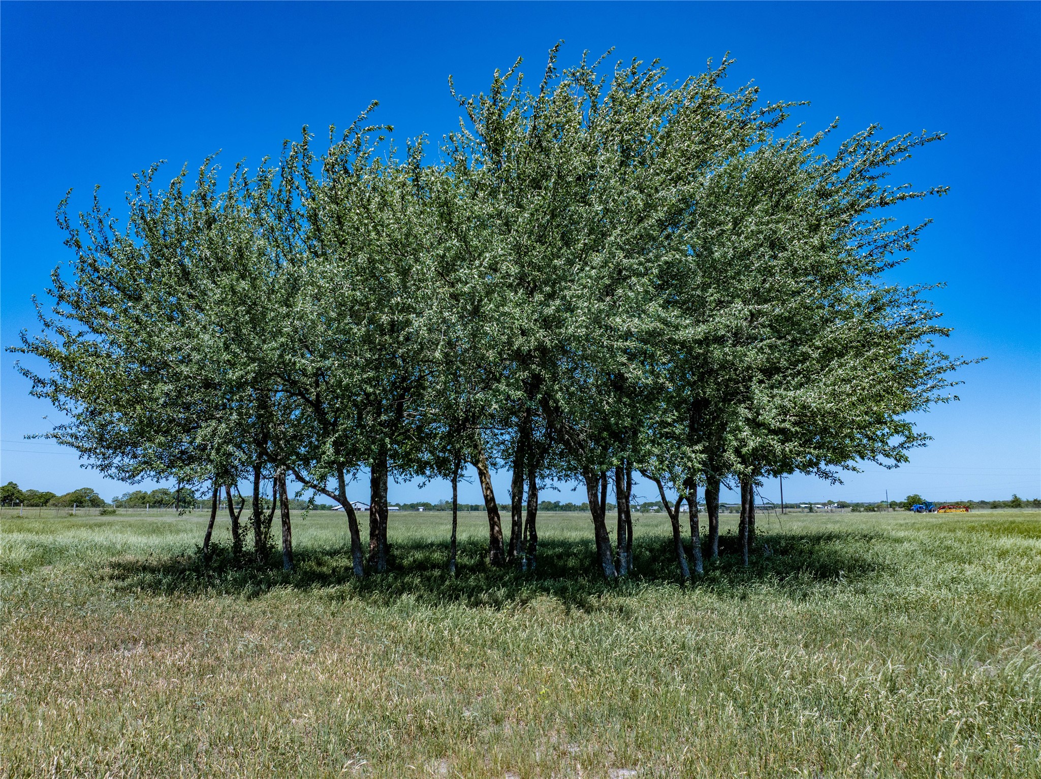 7239 Meiners Road Property Photo 1