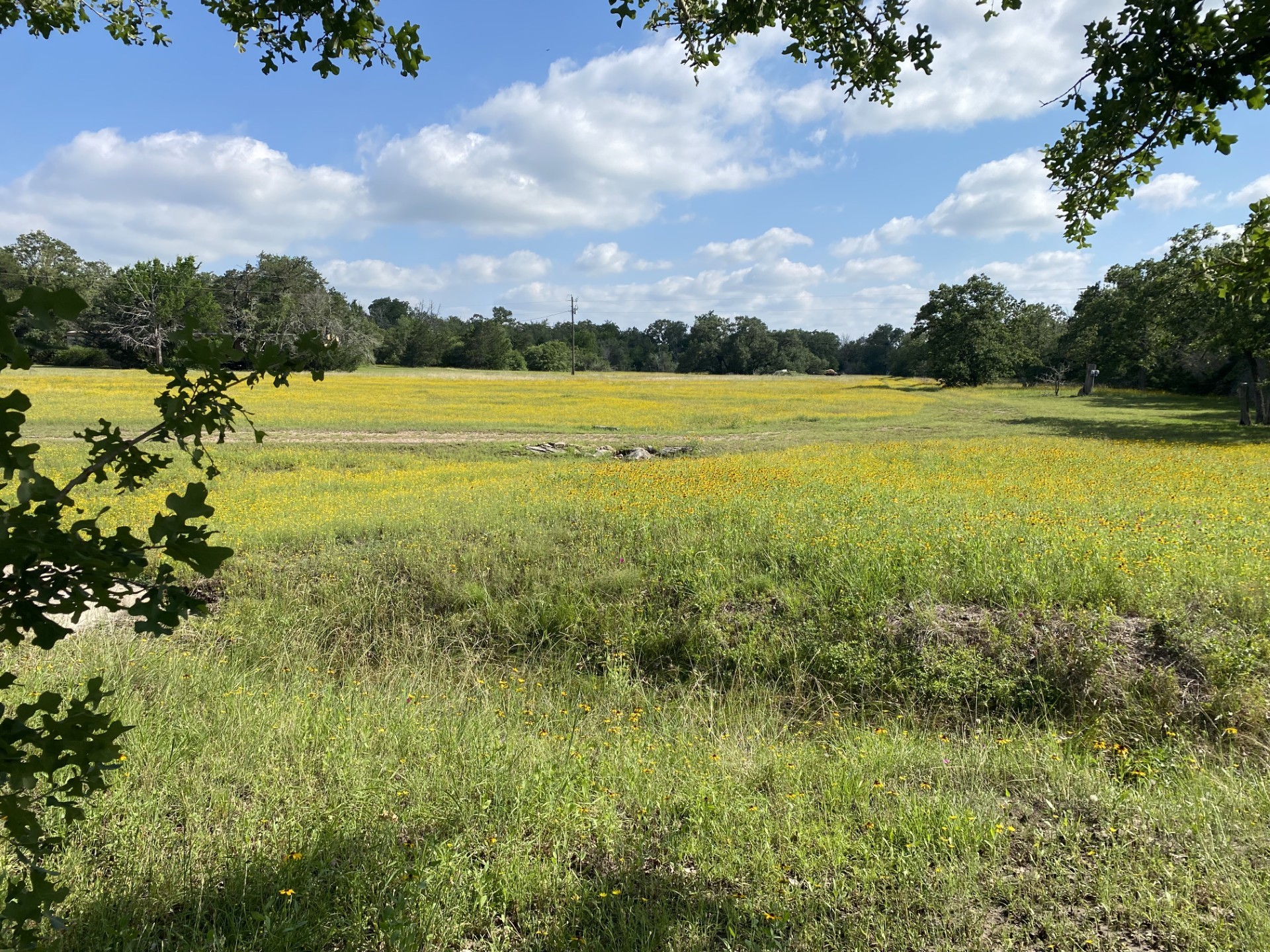 3685 Nixon Lake Road Property Photo 6