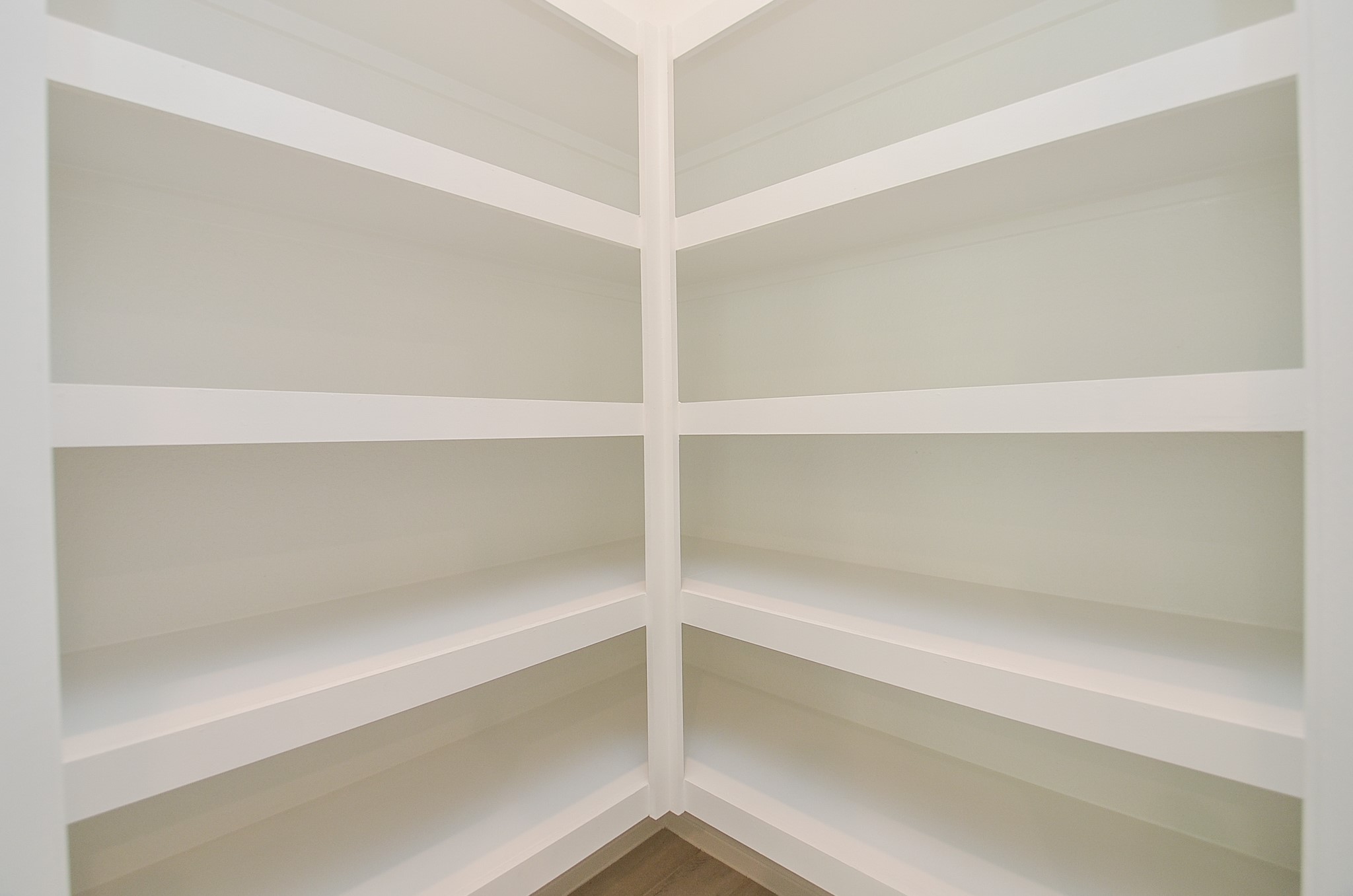 1231 Dry Cork Circle Property Photo 15