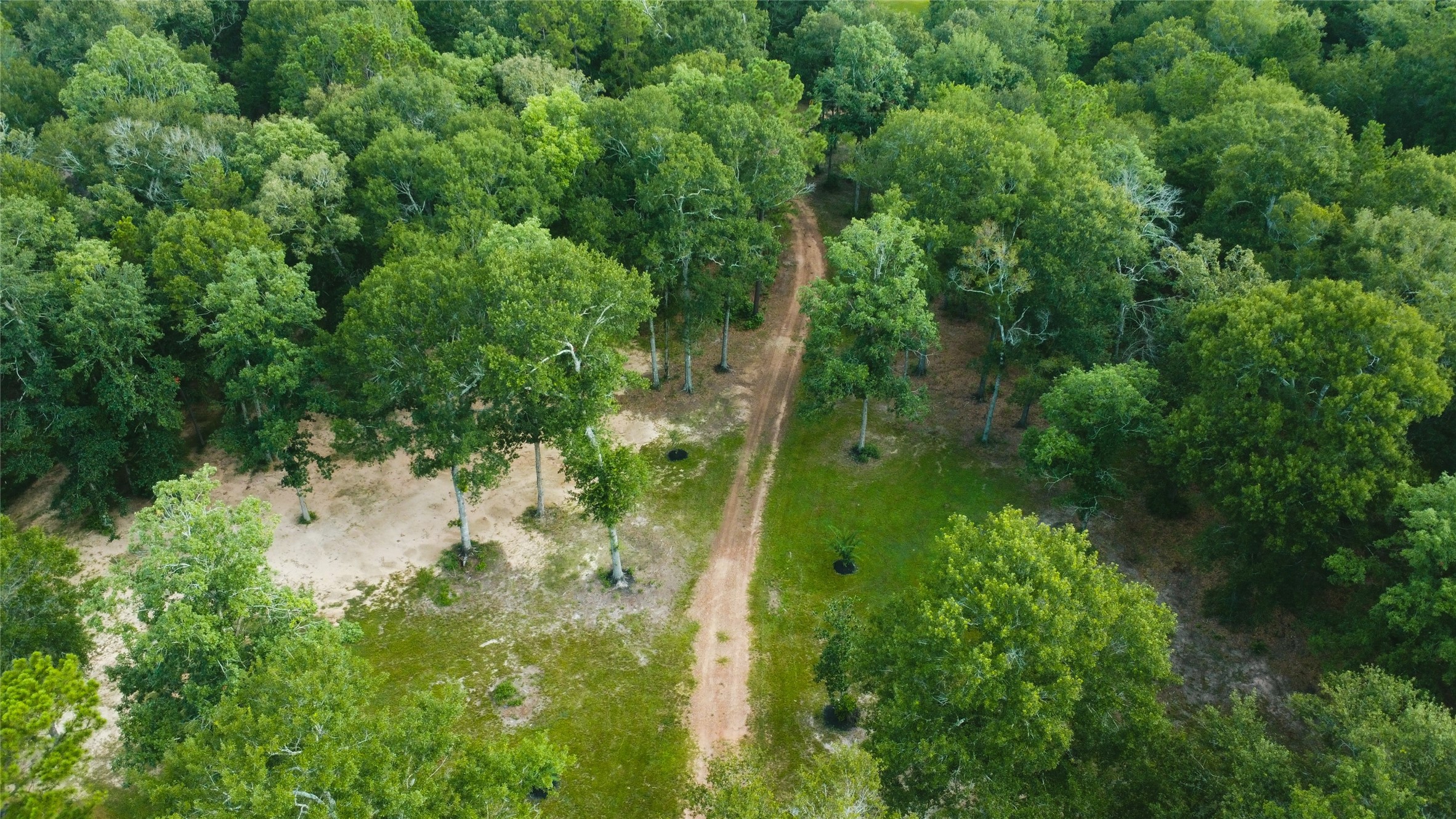 21119 Rock Pigeon Property Photo 10