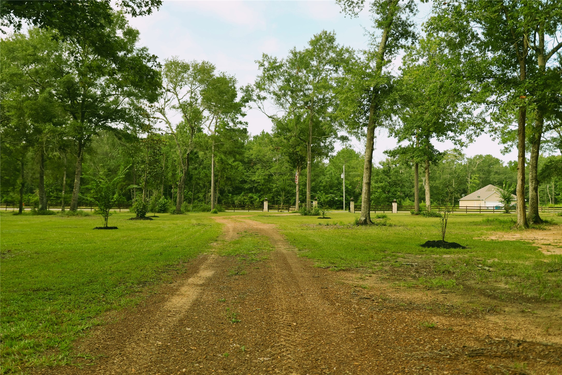 21119 Rock Pigeon Property Photo 12