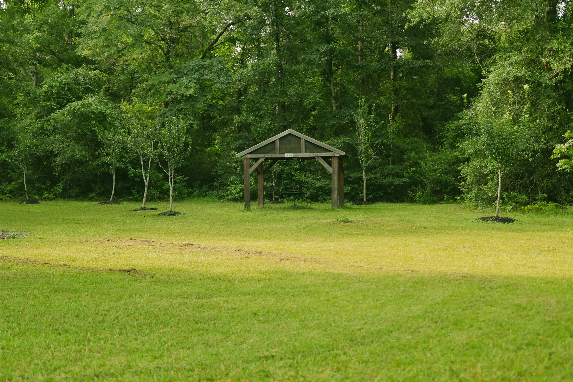 21119 Rock Pigeon Property Photo 20