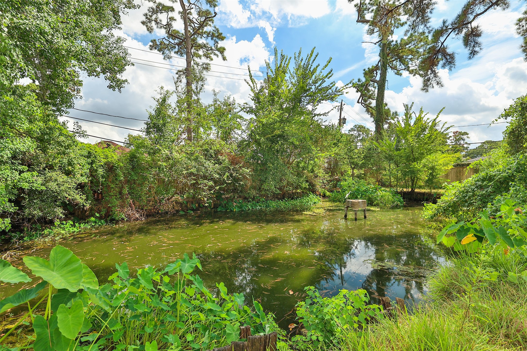 1310 Sue Barnett Drive Property Photo 8