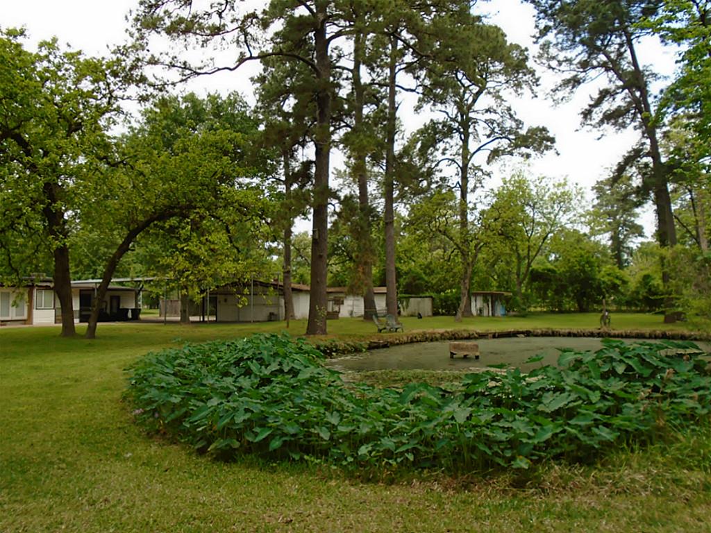1310 Sue Barnett Drive Property Photo 11