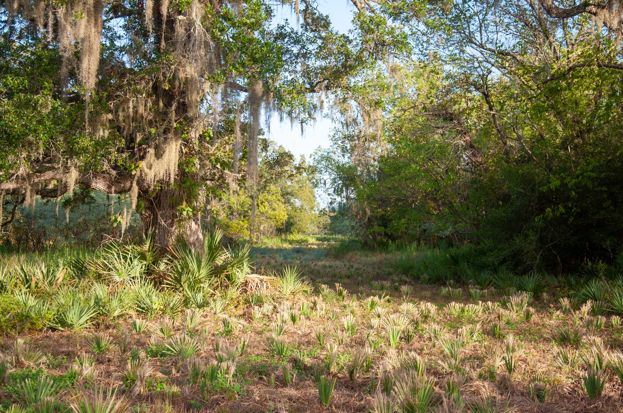 4261 County Road 506 Property Photo 15