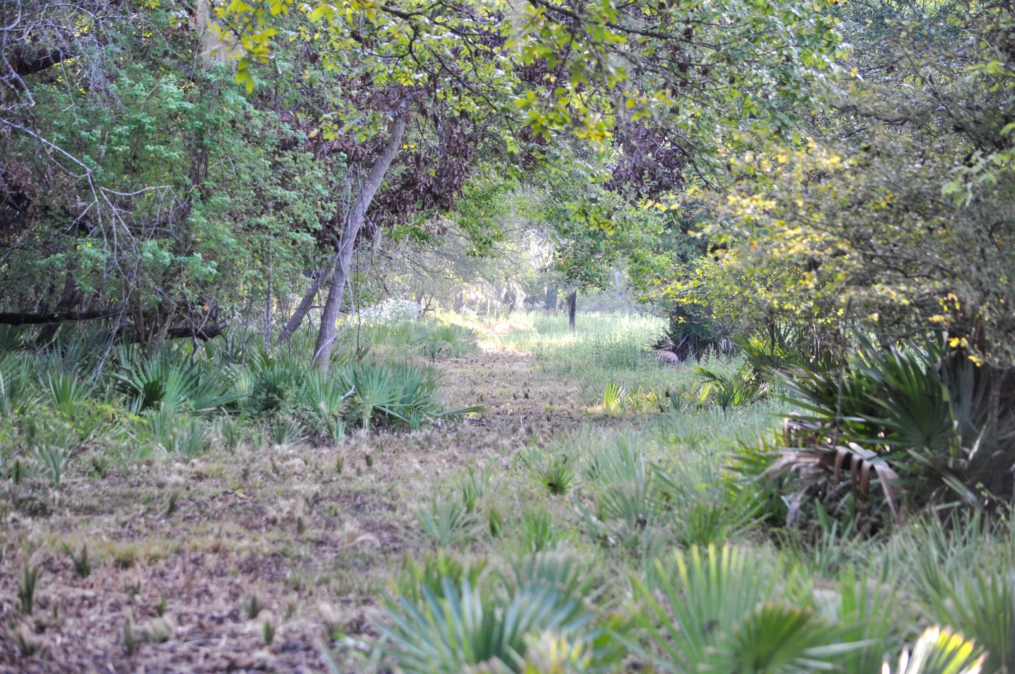 4261 County Road 506 Property Photo 18