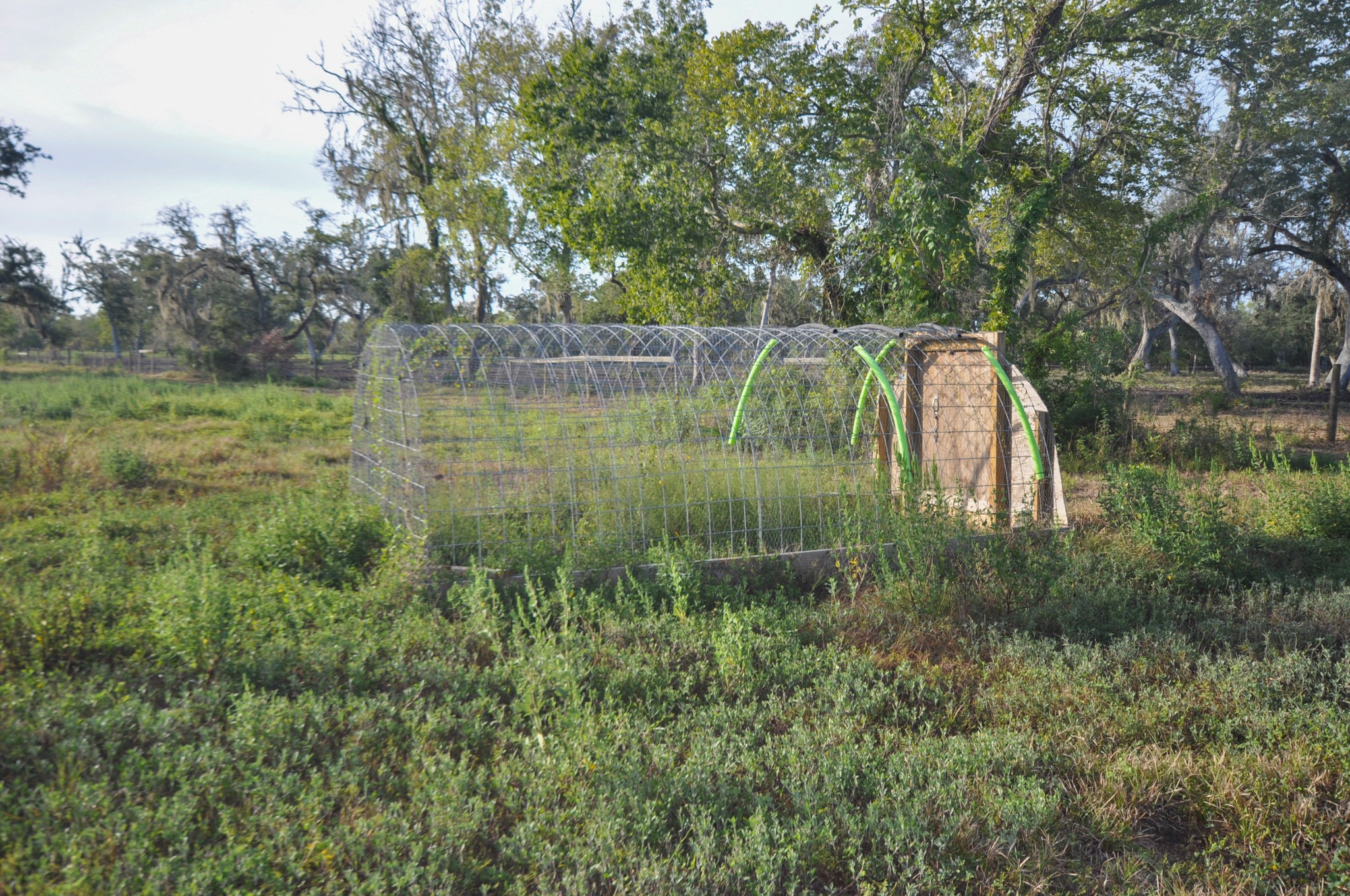 4261 County Road 506 Property Photo 20