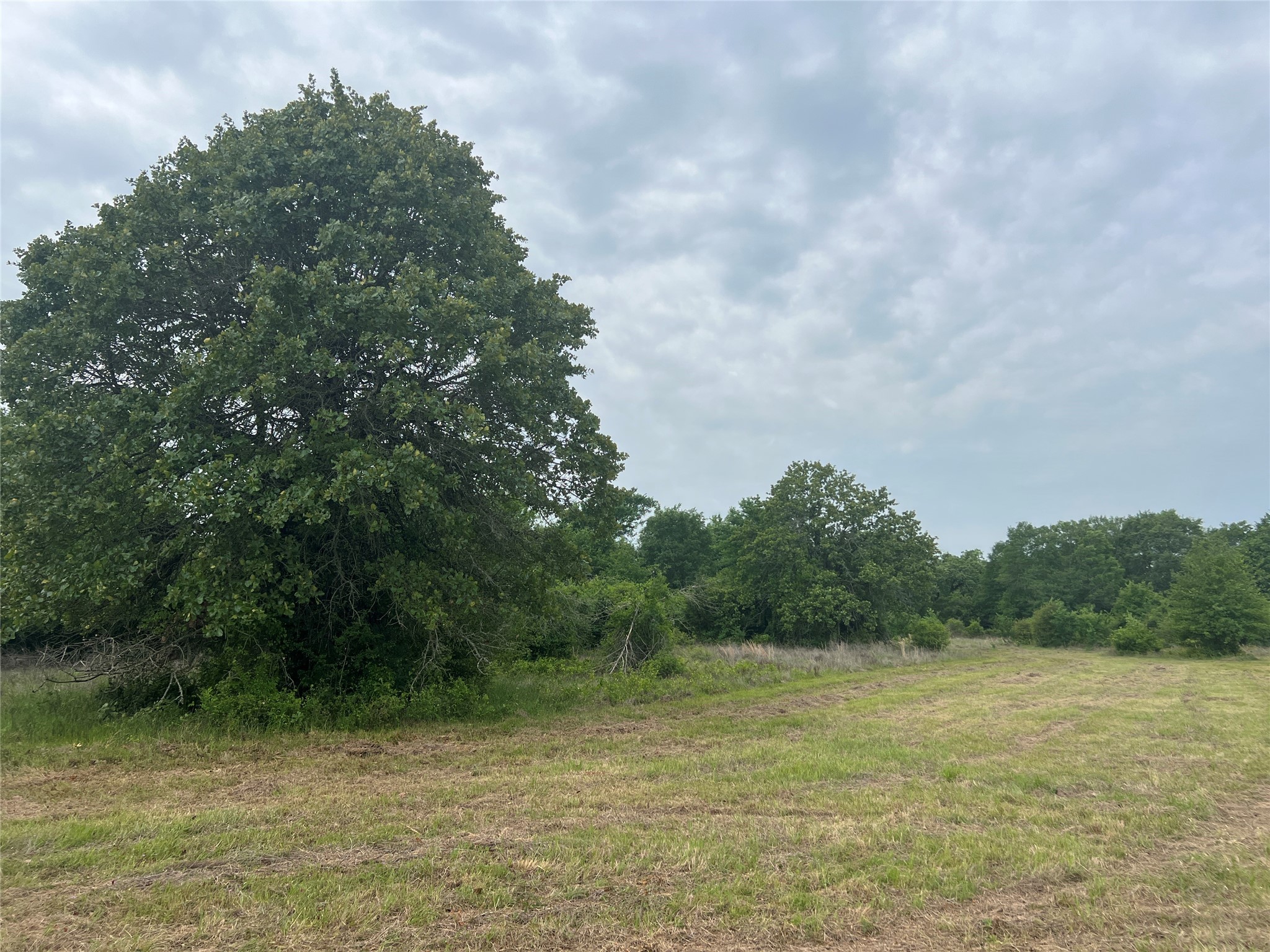 Tract # 3 County Road 124 Property Photo