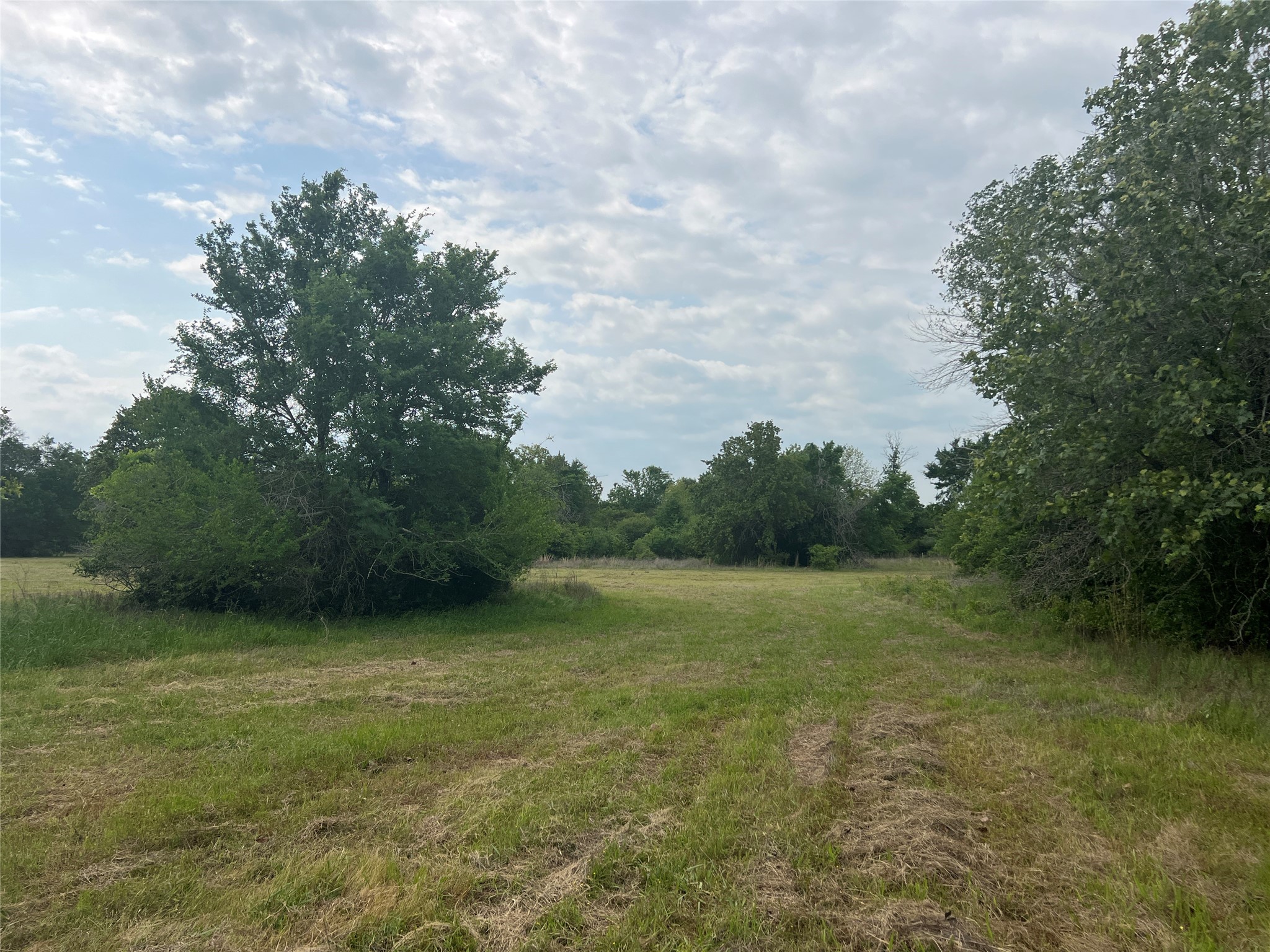 Tract # 3 County Road 124 Property Photo 3
