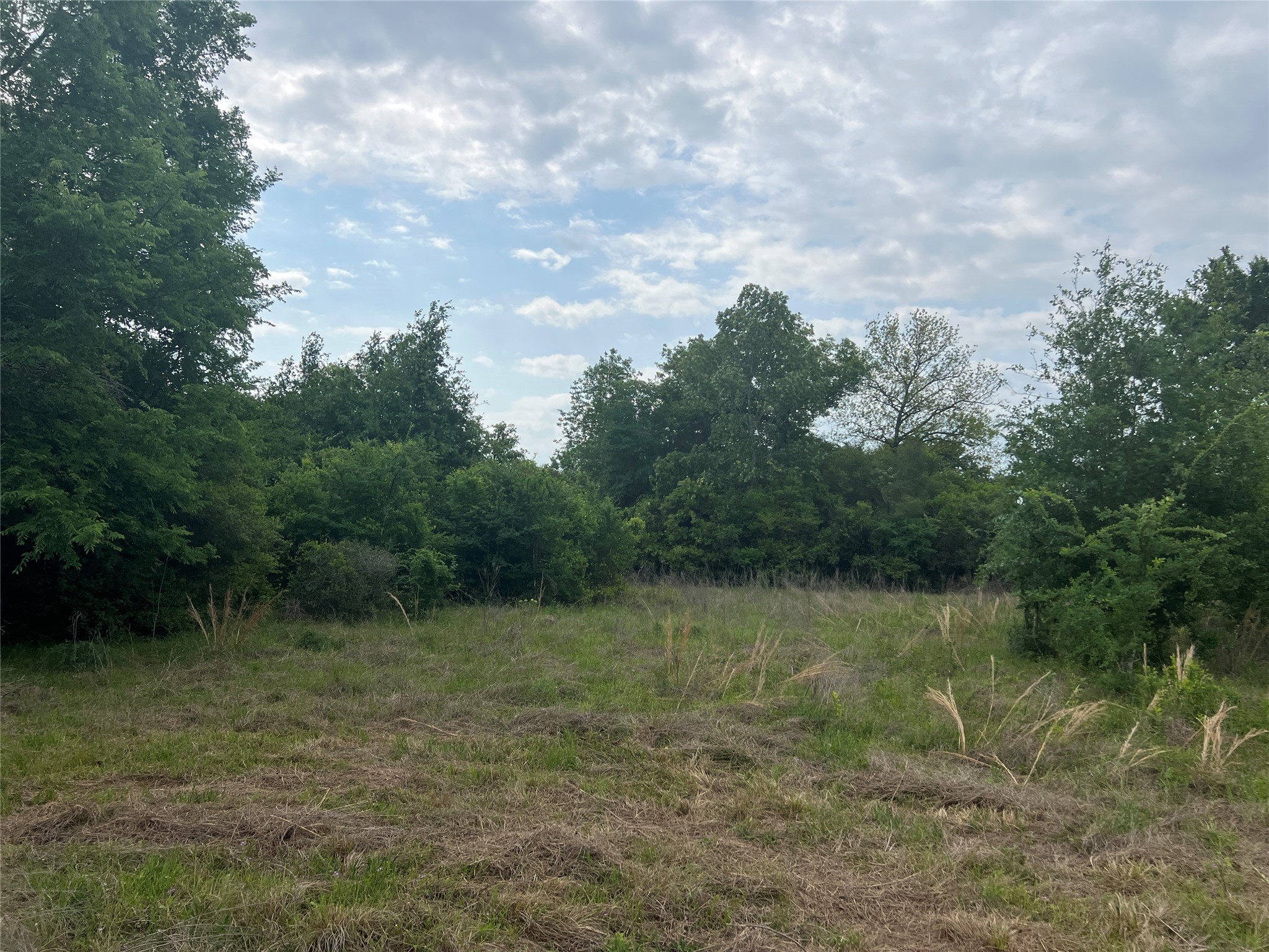 Tract # 3 County Road 124 Property Photo 4
