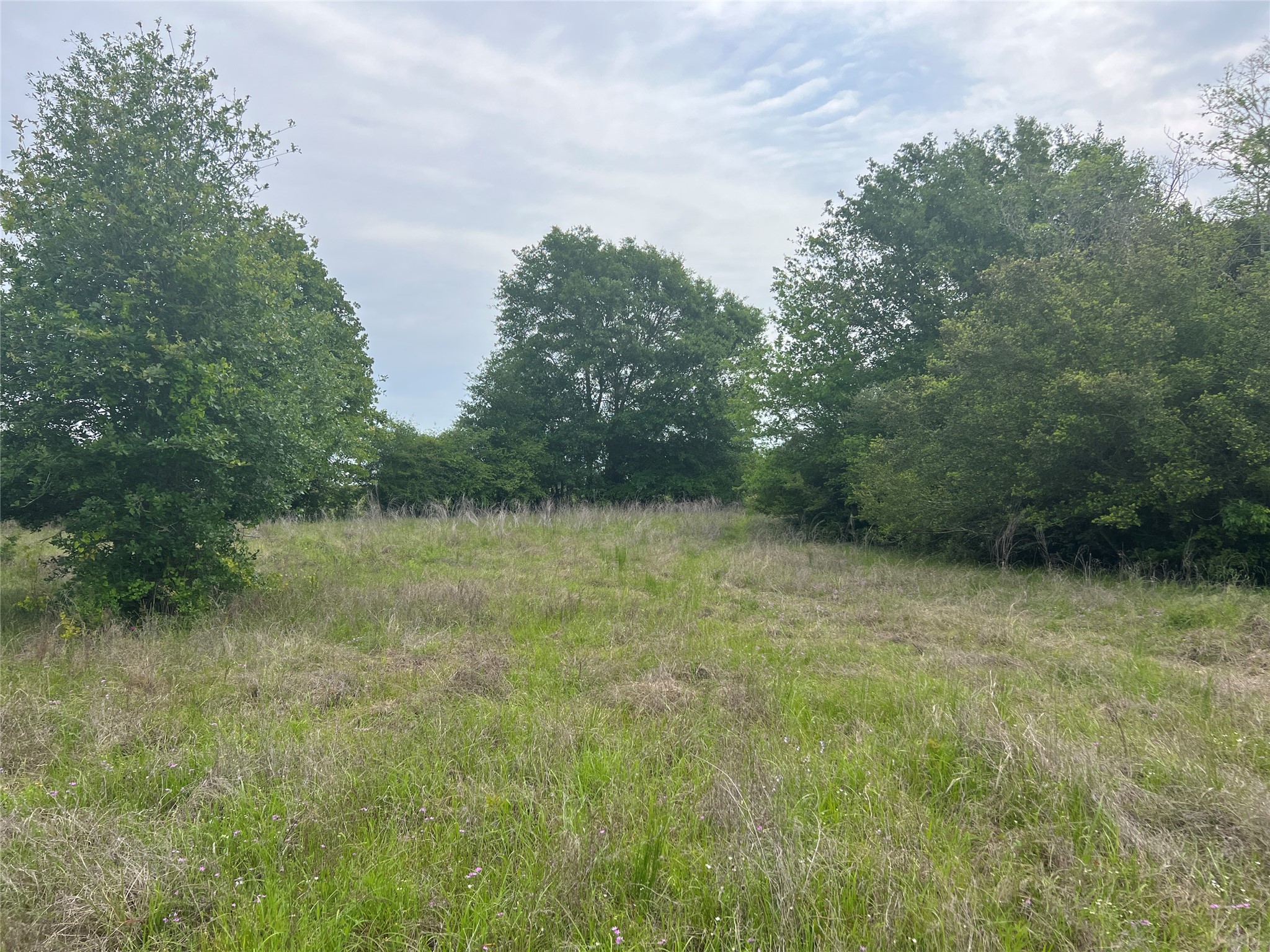 Tract # 3 County Road 124 Property Photo 6