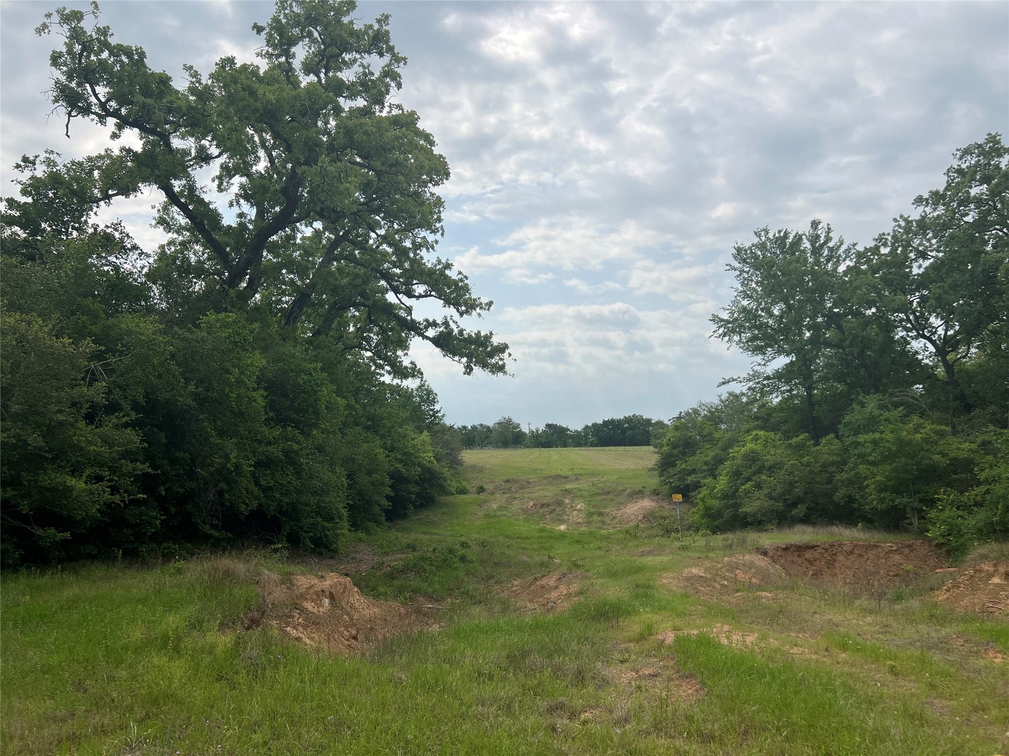 Tract # 3 County Road 124 Property Photo 7