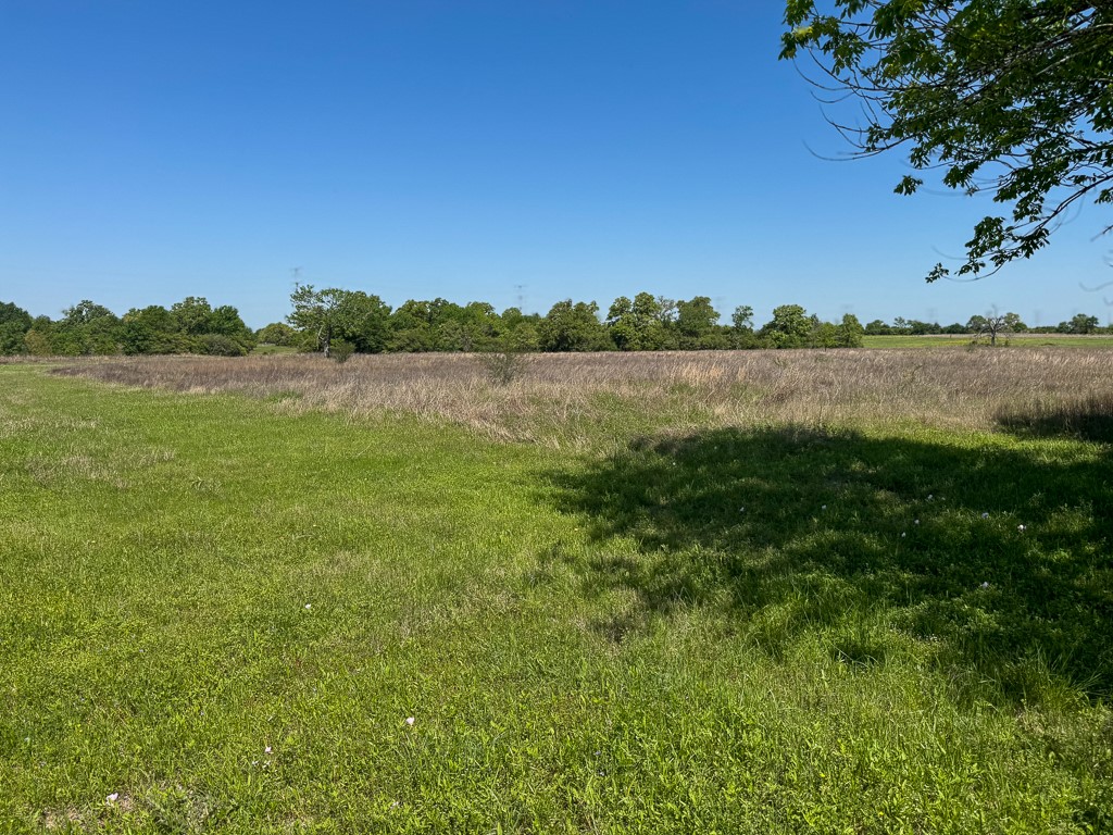 Tract # 3 County Road 124 Property Photo 9