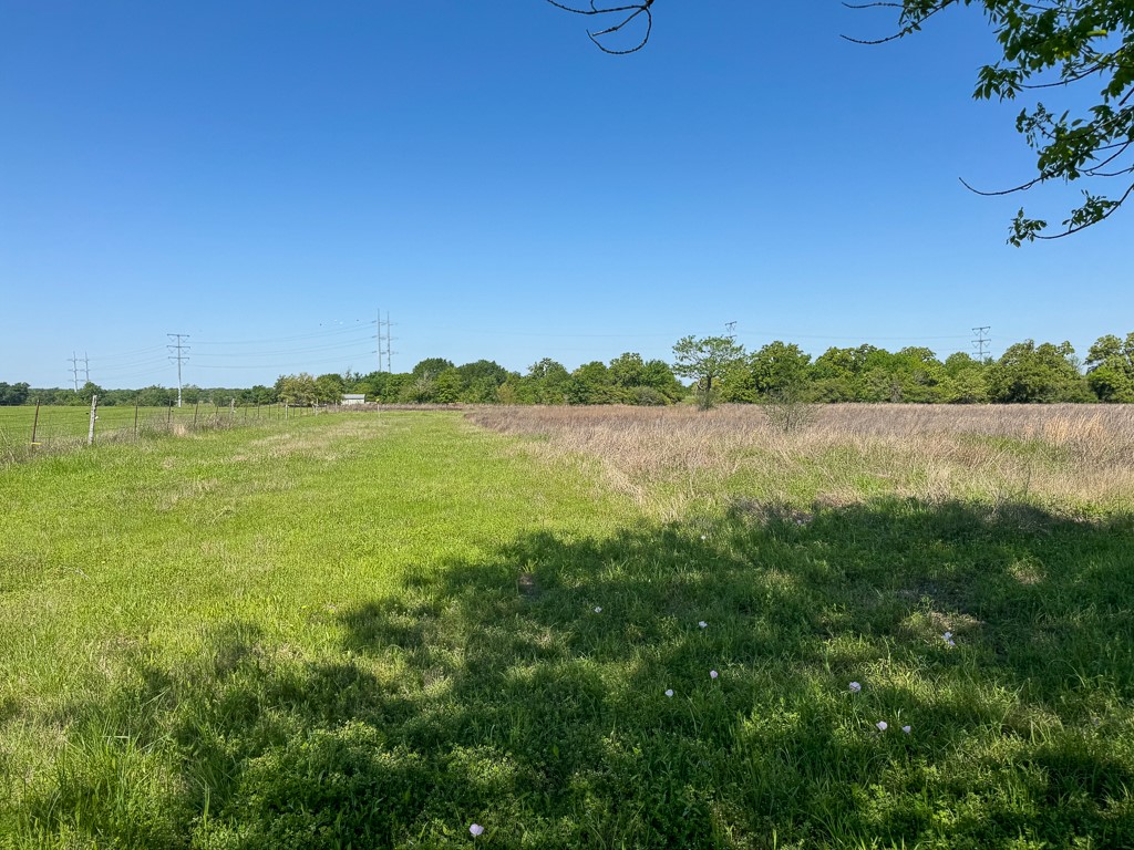 Tract # 3 County Road 124 Property Photo 10