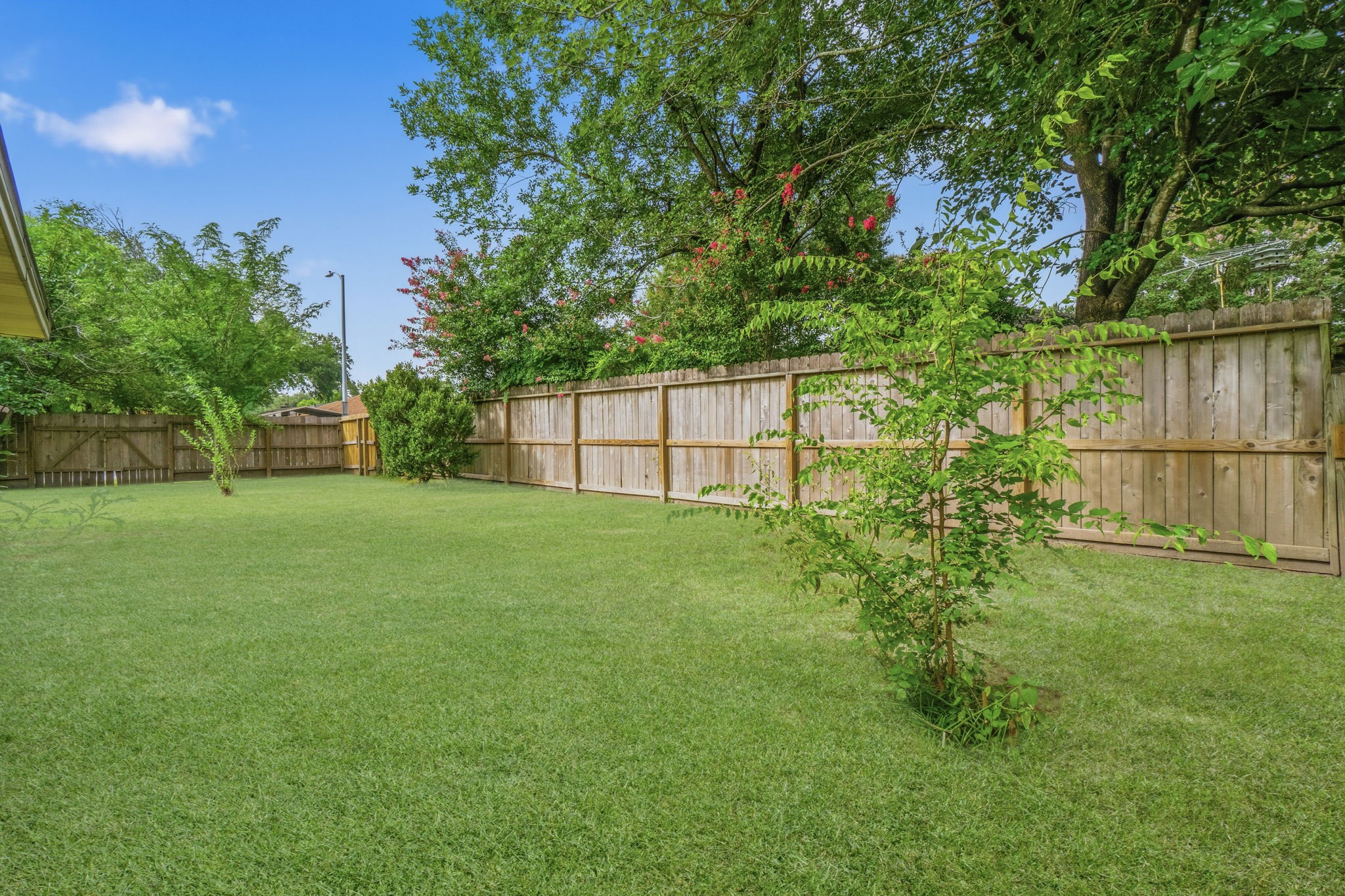 16303 Deer Lick Drive Property Photo 34