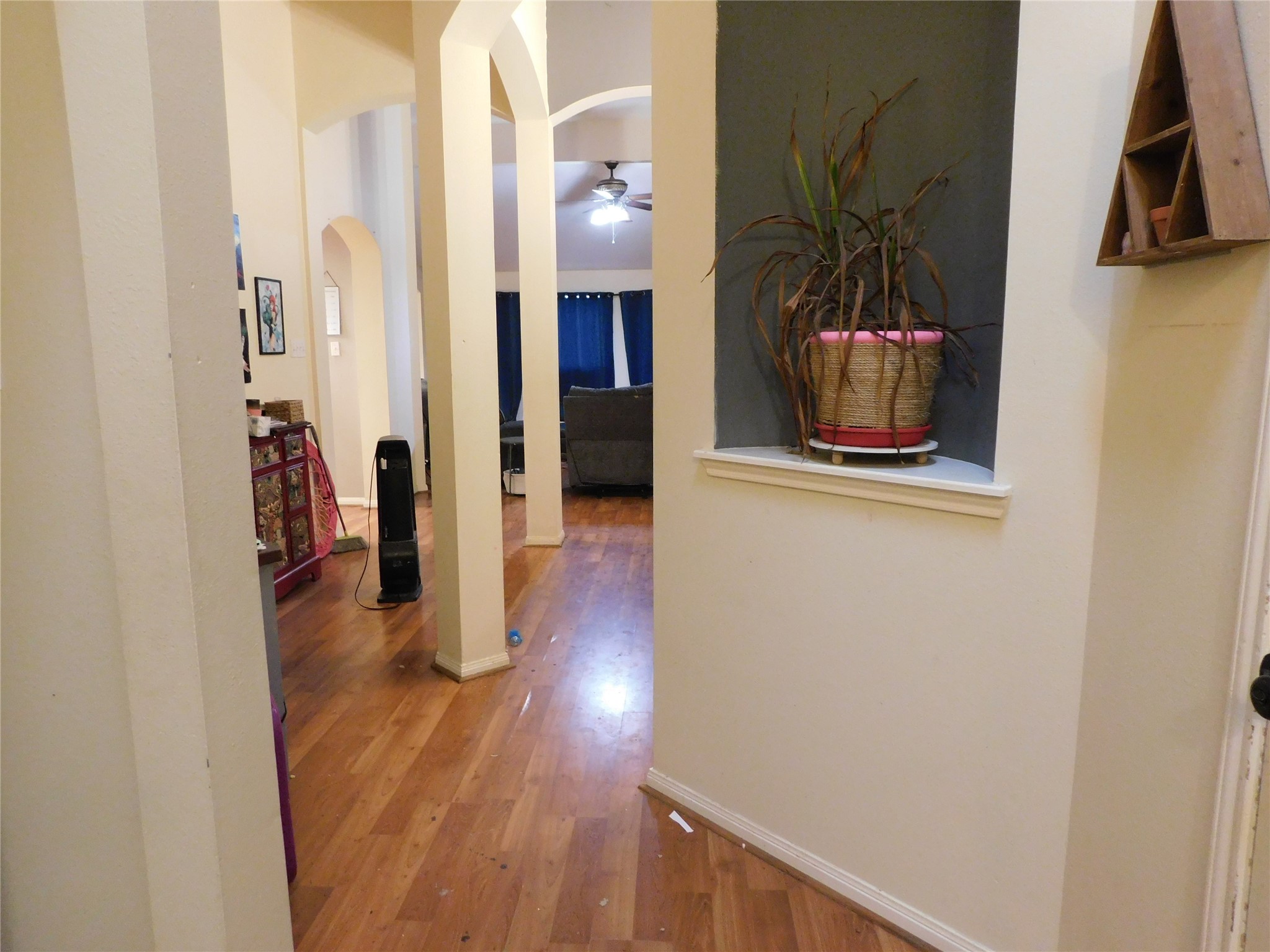 6047 Kristen Park Lane Property Photo 4
