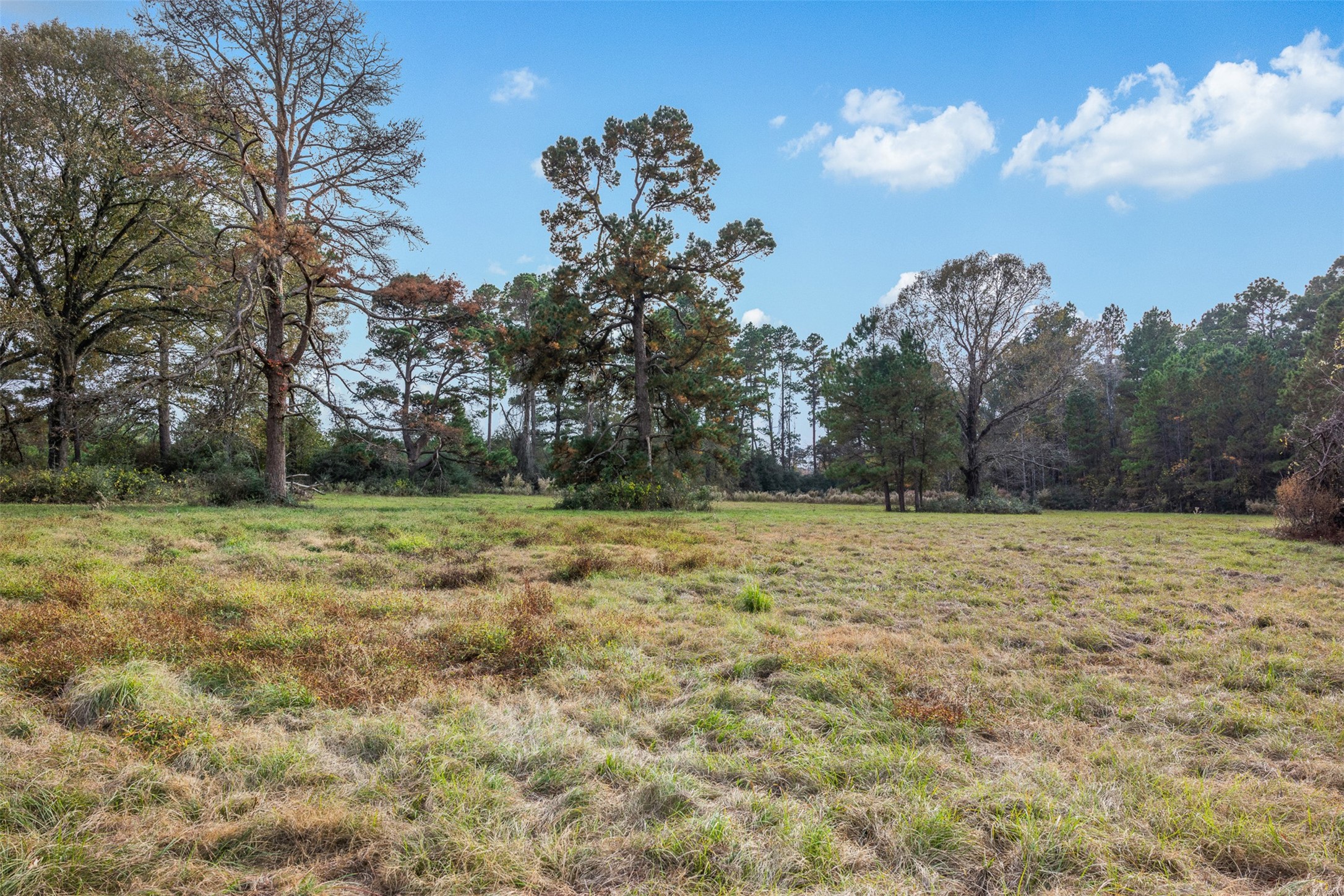 9445 County Road 132 Property Photo 22