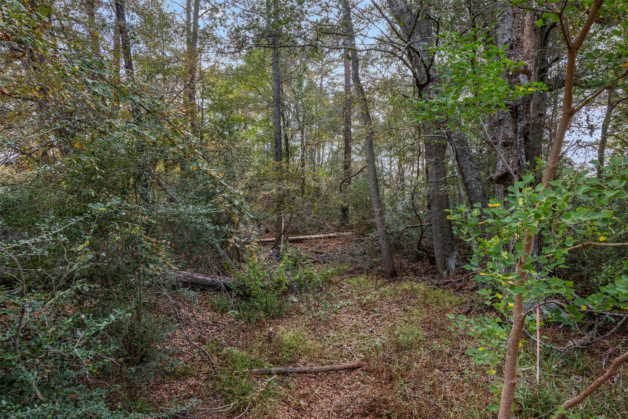 9445 County Road 132 Property Photo 26
