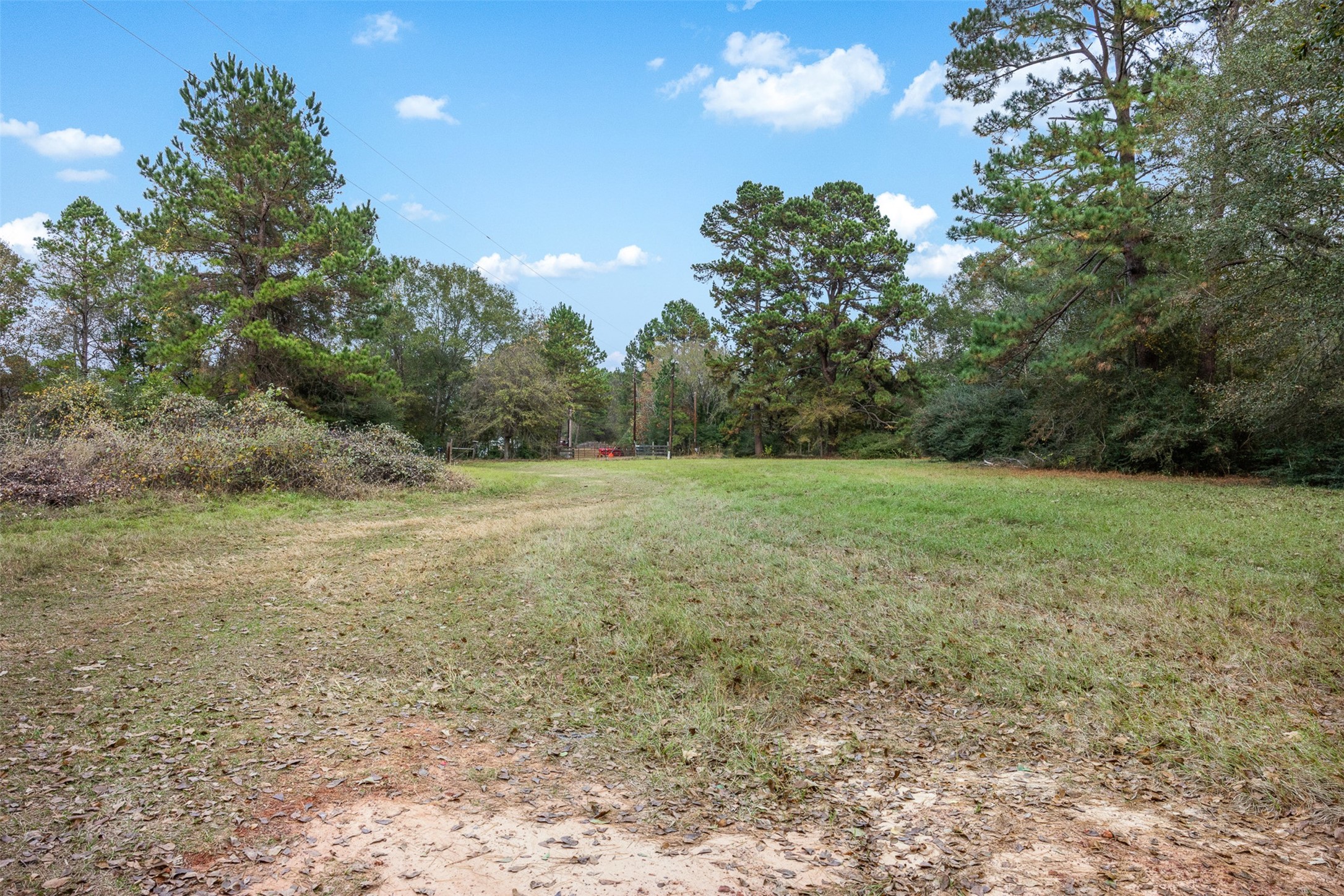 9445 County Road 132 Property Photo 27