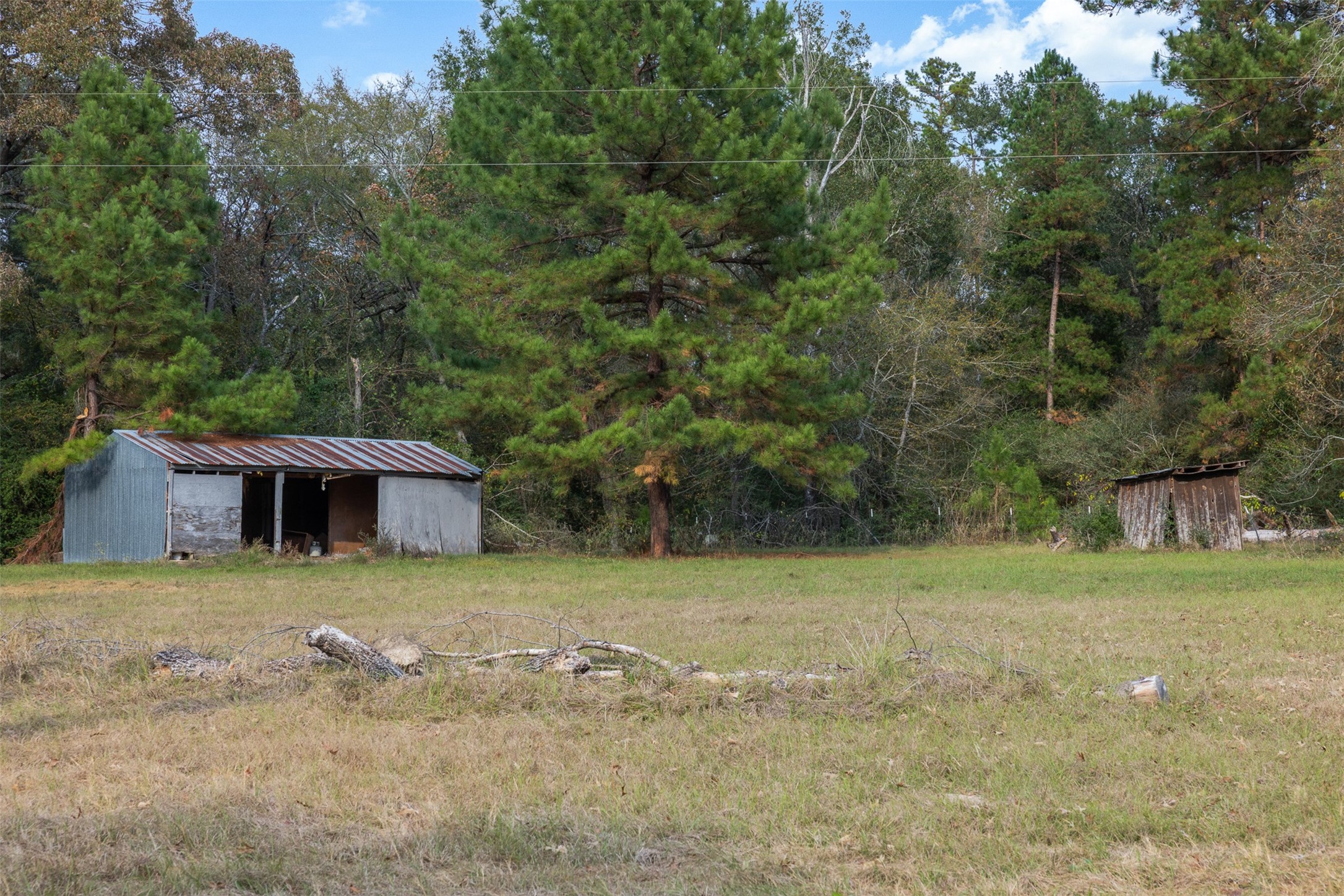 9445 County Road 132 Property Photo 38