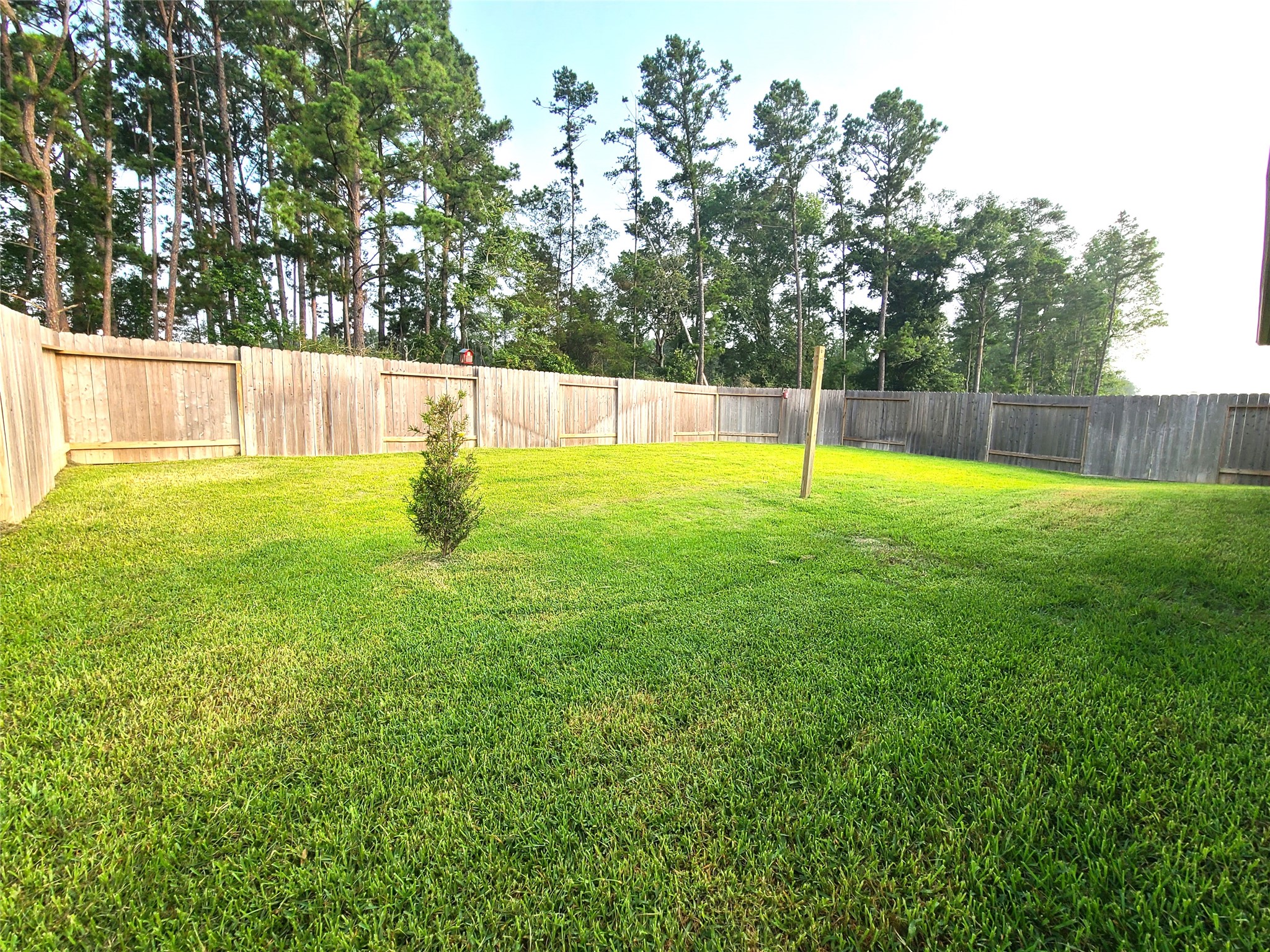 40563 Birch Shadow Court Property Photo 12
