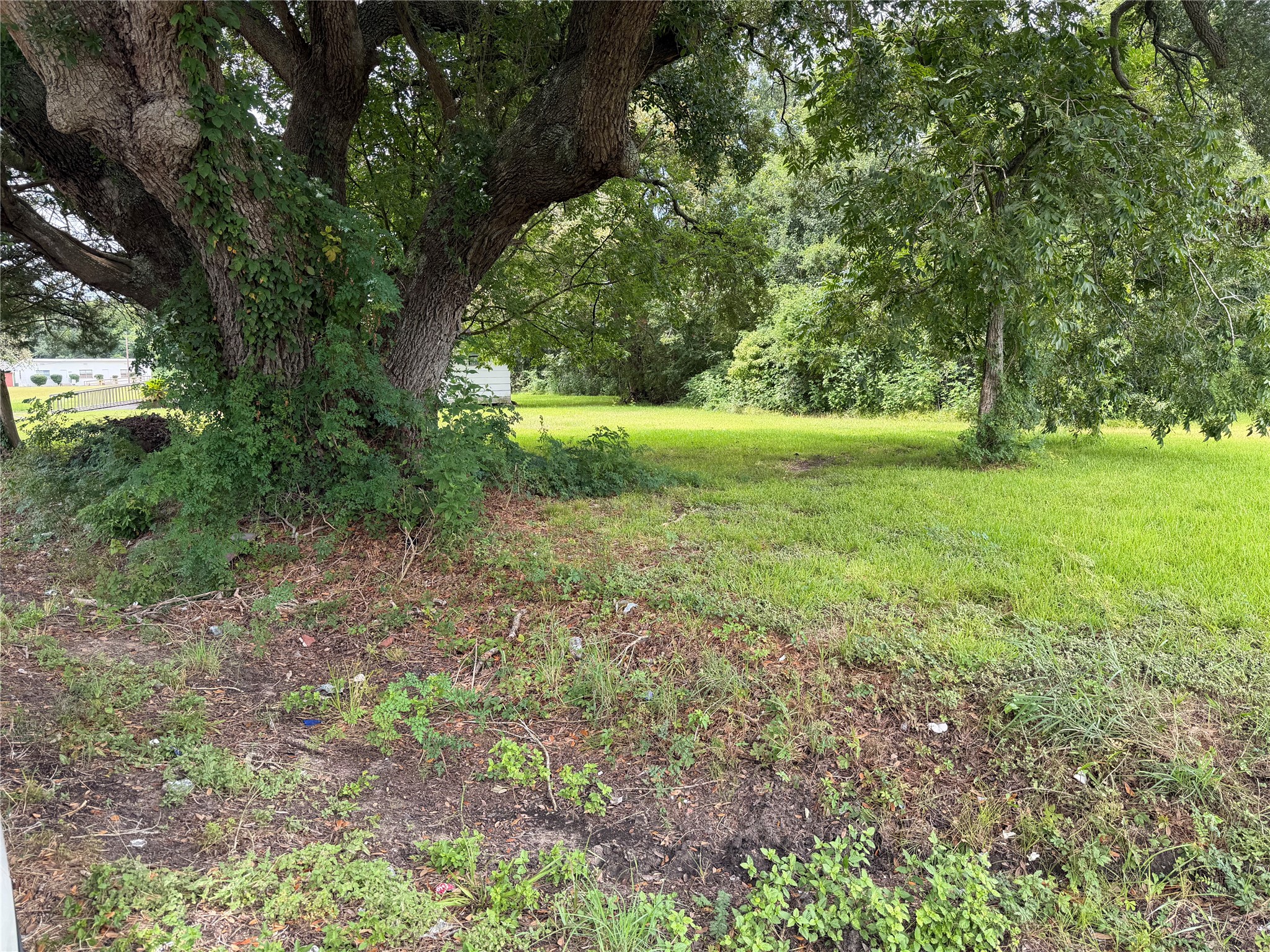000 W Miller Street Property Photo 2