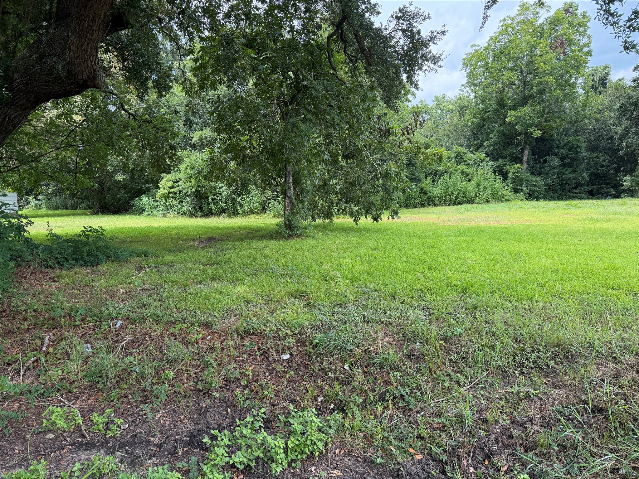 000 W Miller Street Property Photo 3