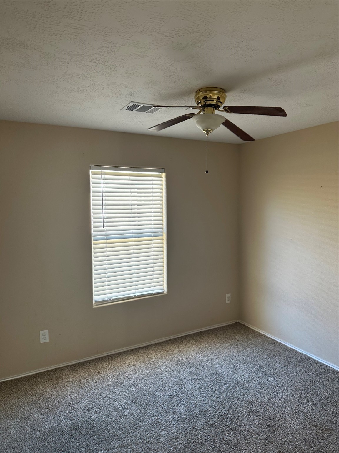 16939 Suffolk Bridge Lane Property Photo 6