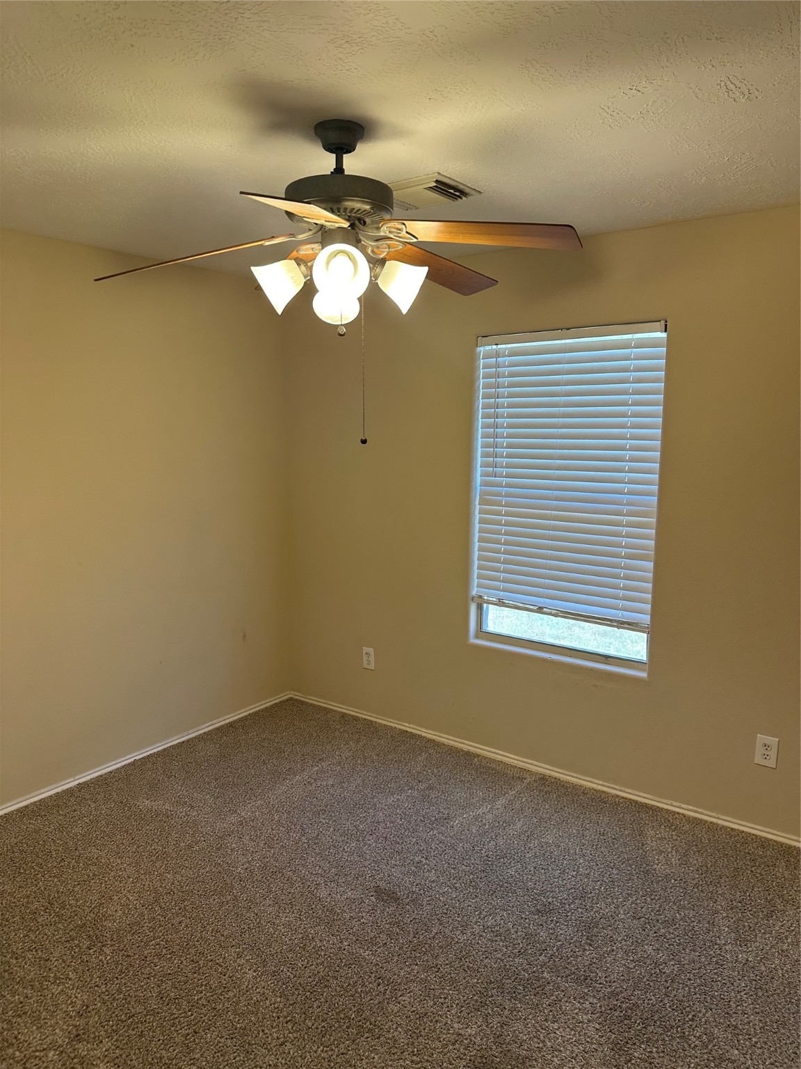 16939 Suffolk Bridge Lane Property Photo 7