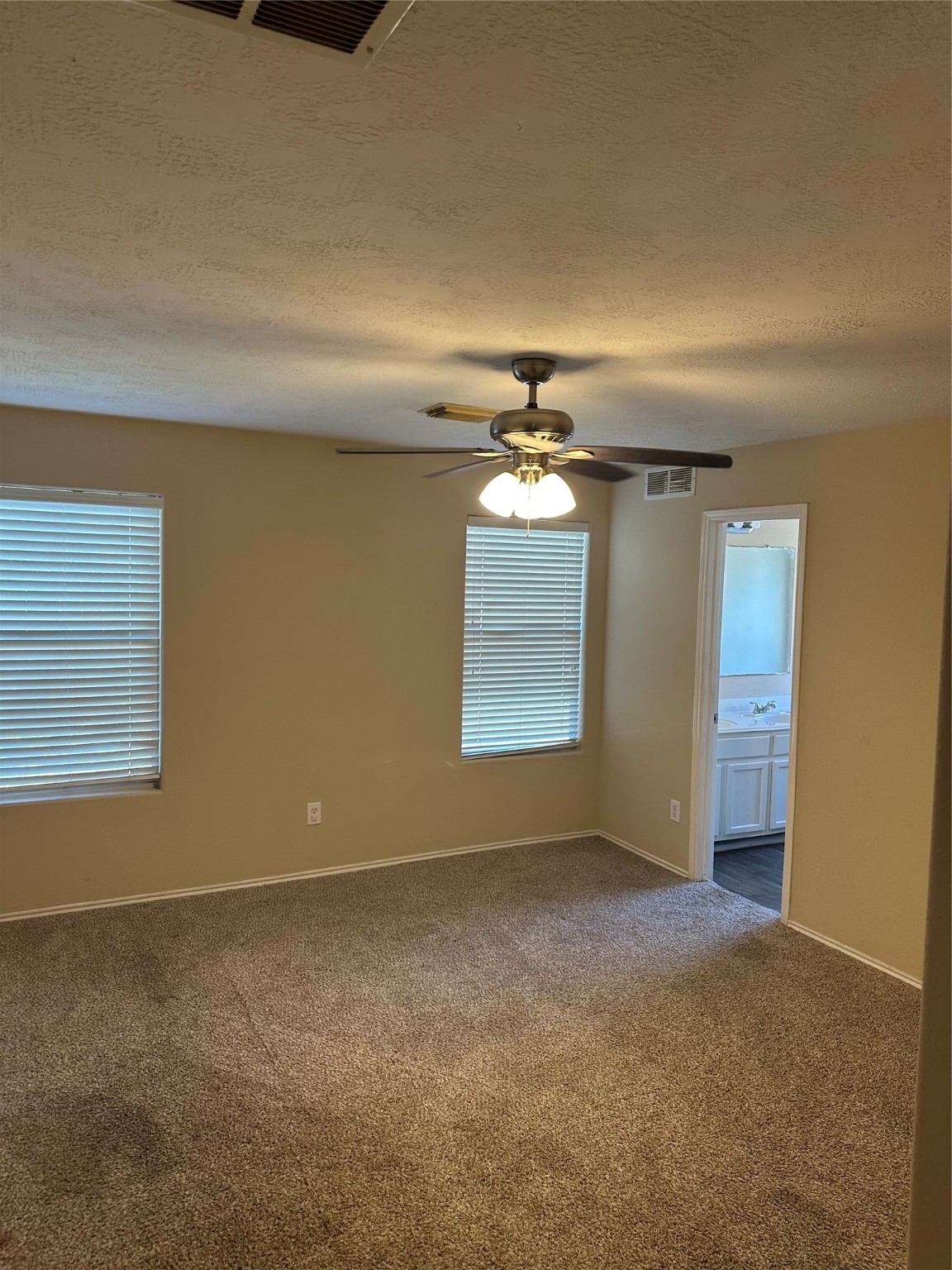 16939 Suffolk Bridge Lane Property Photo 12