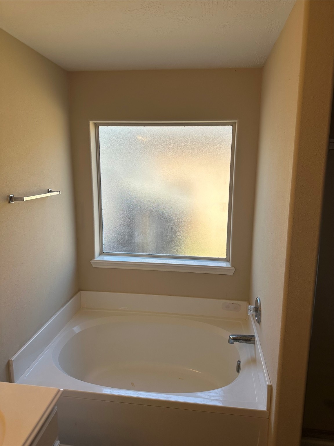 16939 Suffolk Bridge Lane Property Photo 13