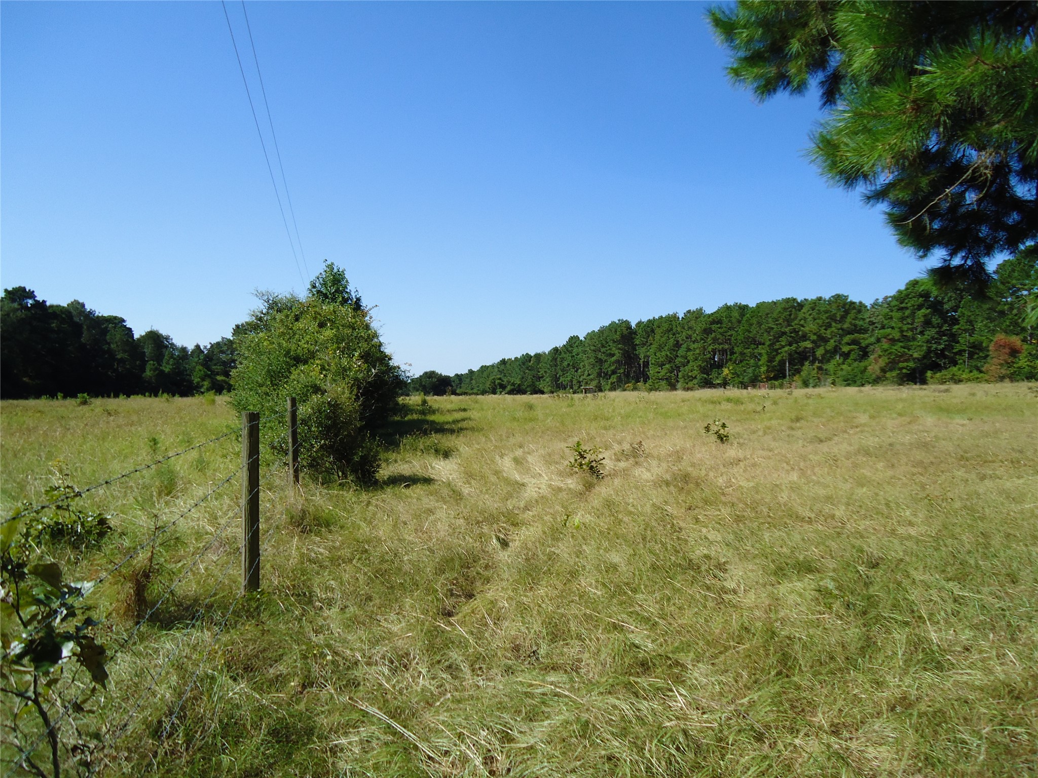 788 Fm-2781 Property Photo 2