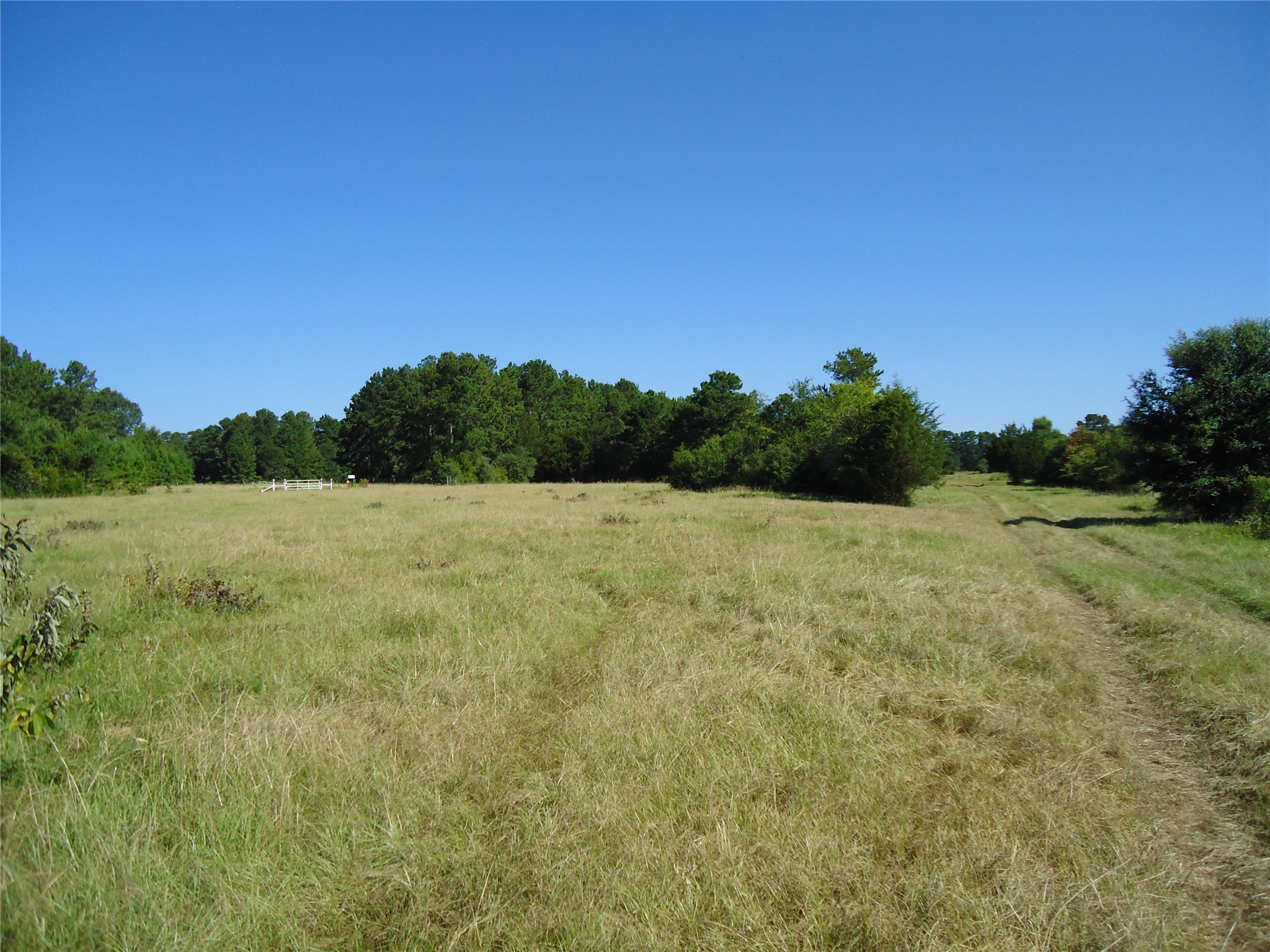 788 Fm-2781 Property Photo 4