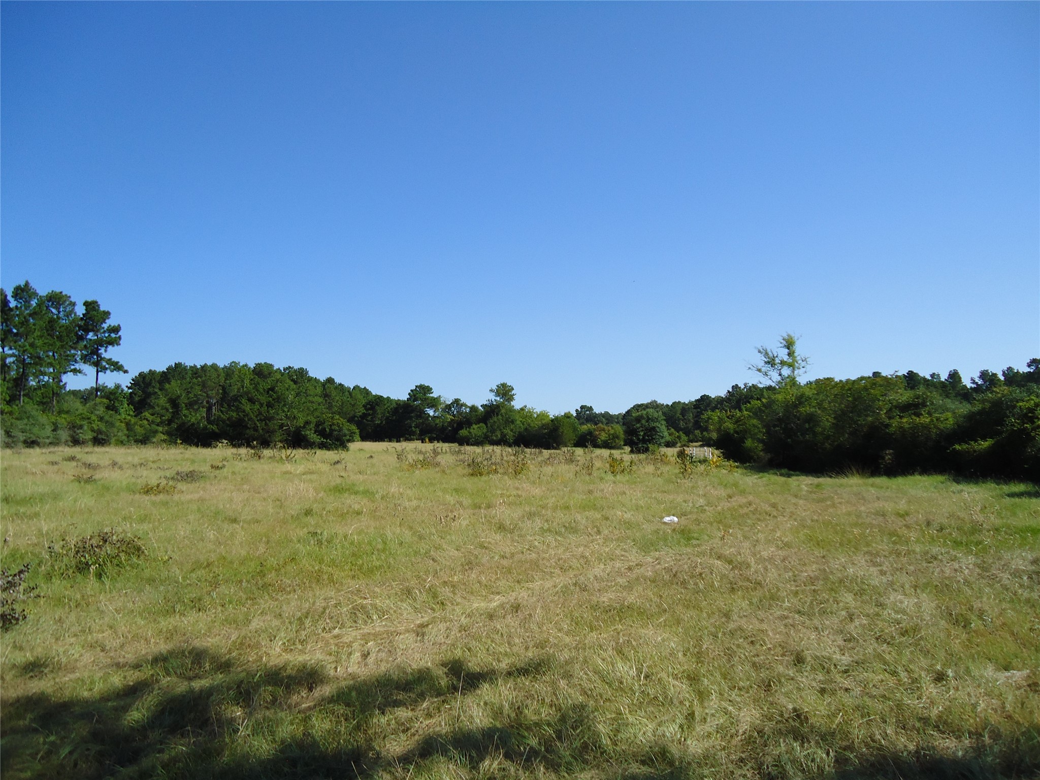 788 Fm-2781 Property Photo 5