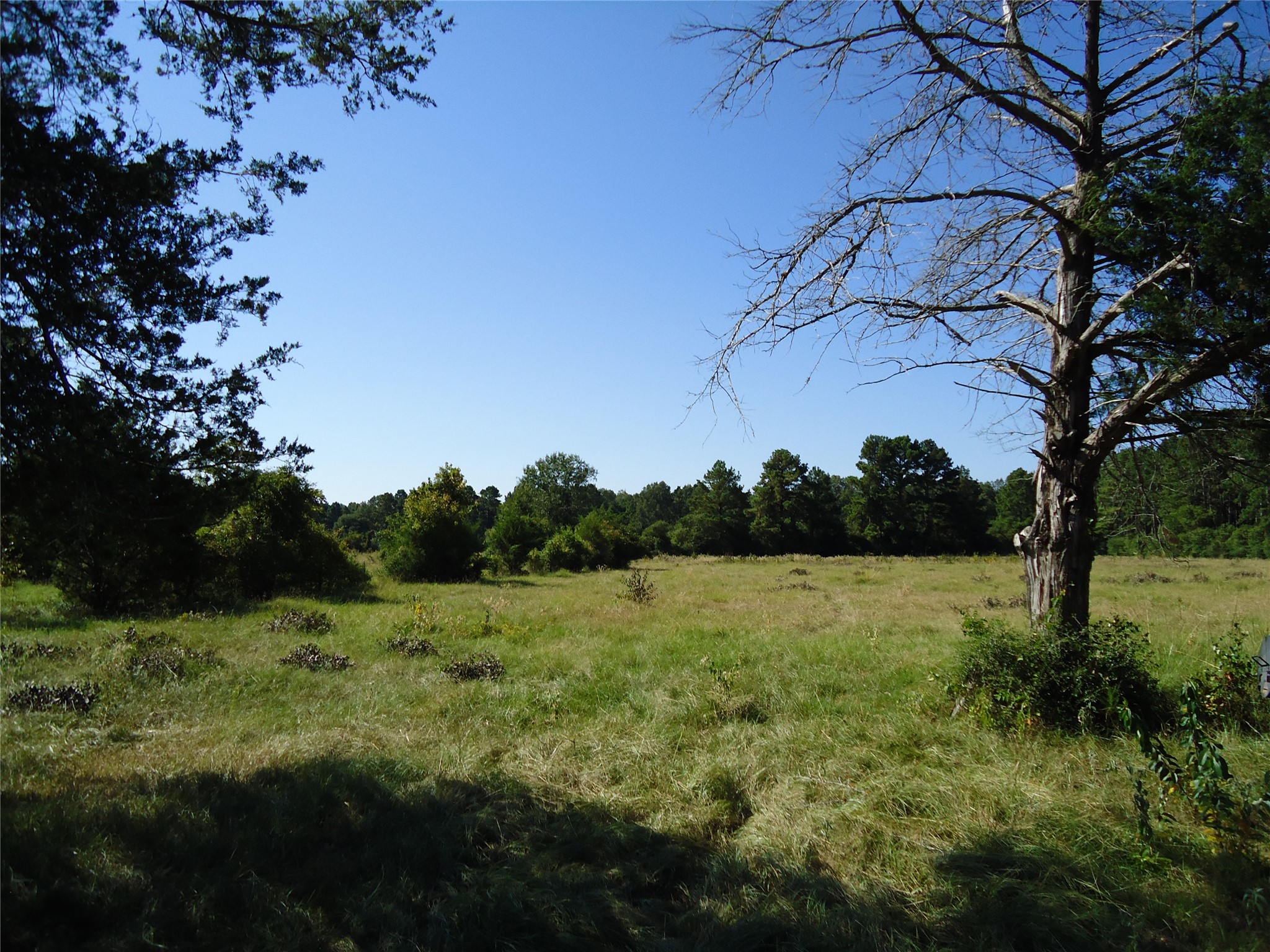 788 Fm-2781 Property Photo 6