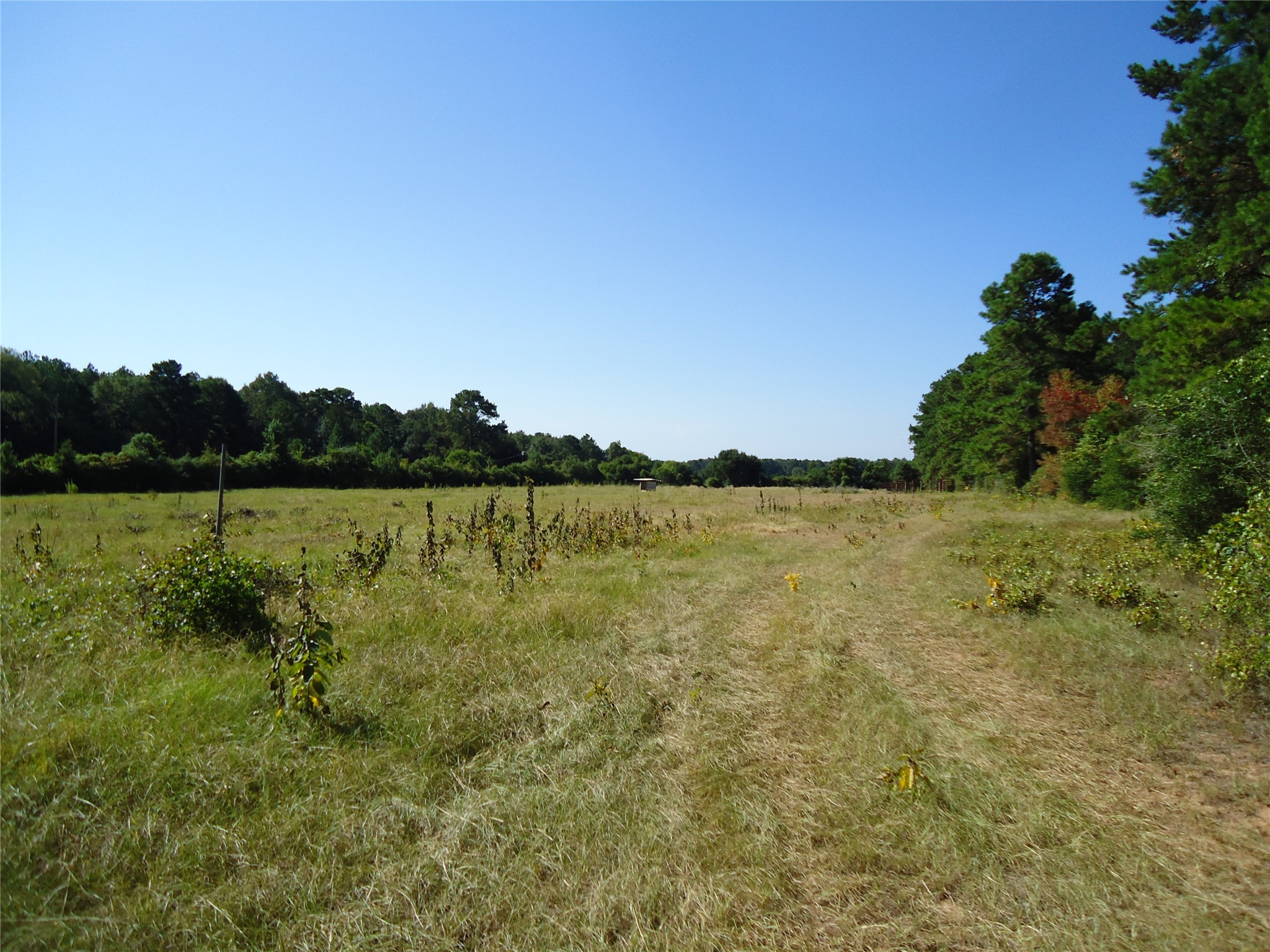 788 Fm-2781 Property Photo 7