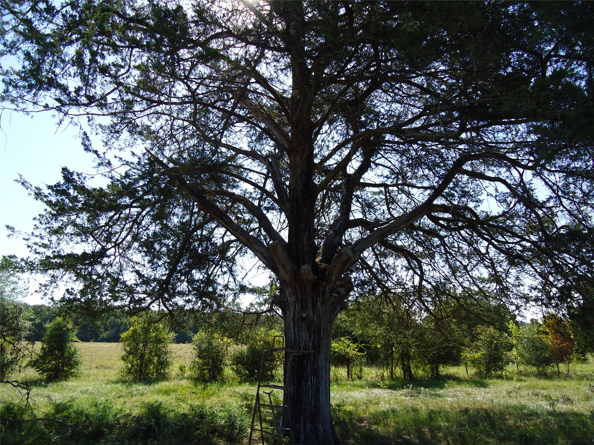 788 Fm-2781 Property Photo 8