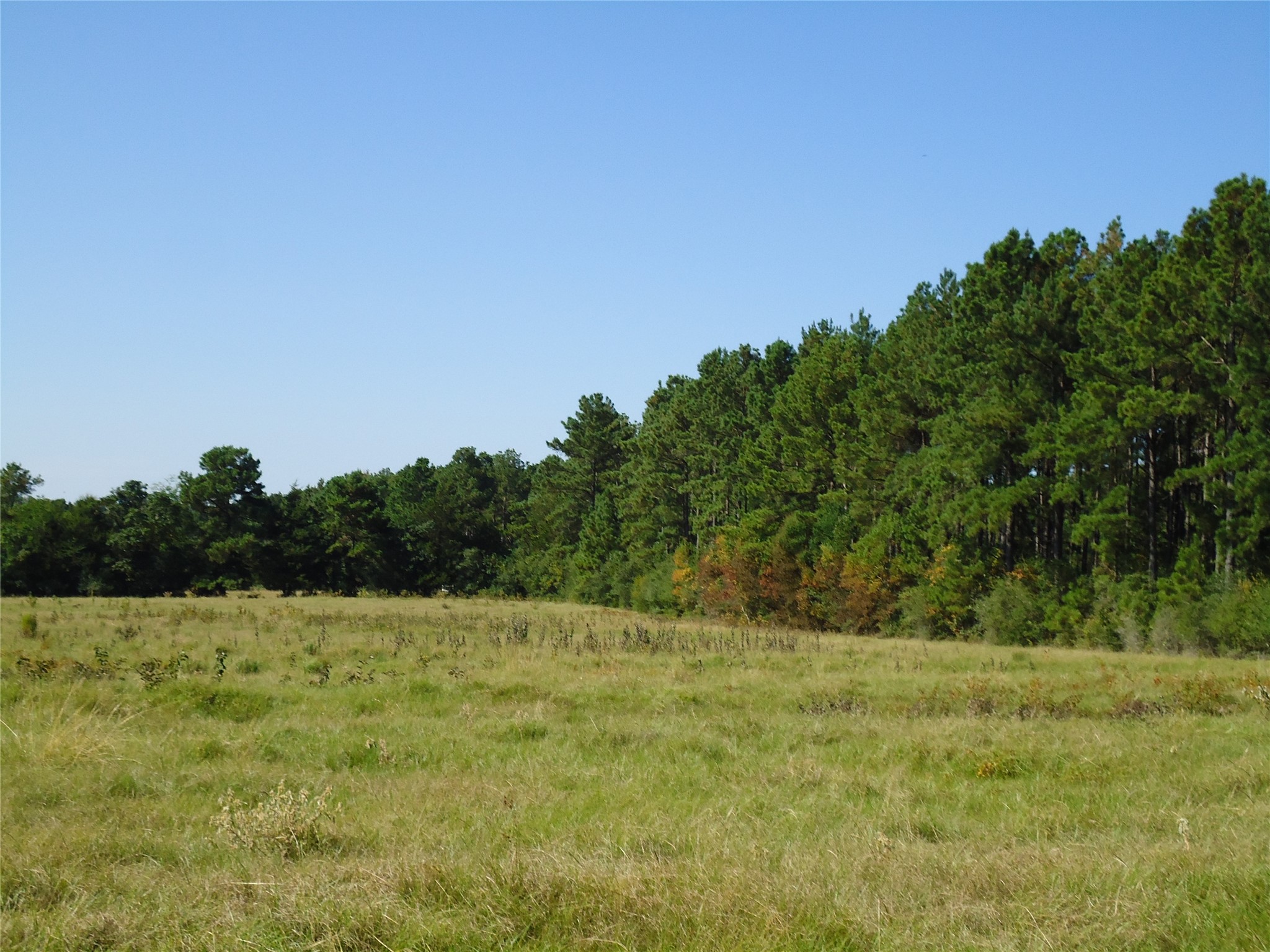 788 Fm-2781 Property Photo 9